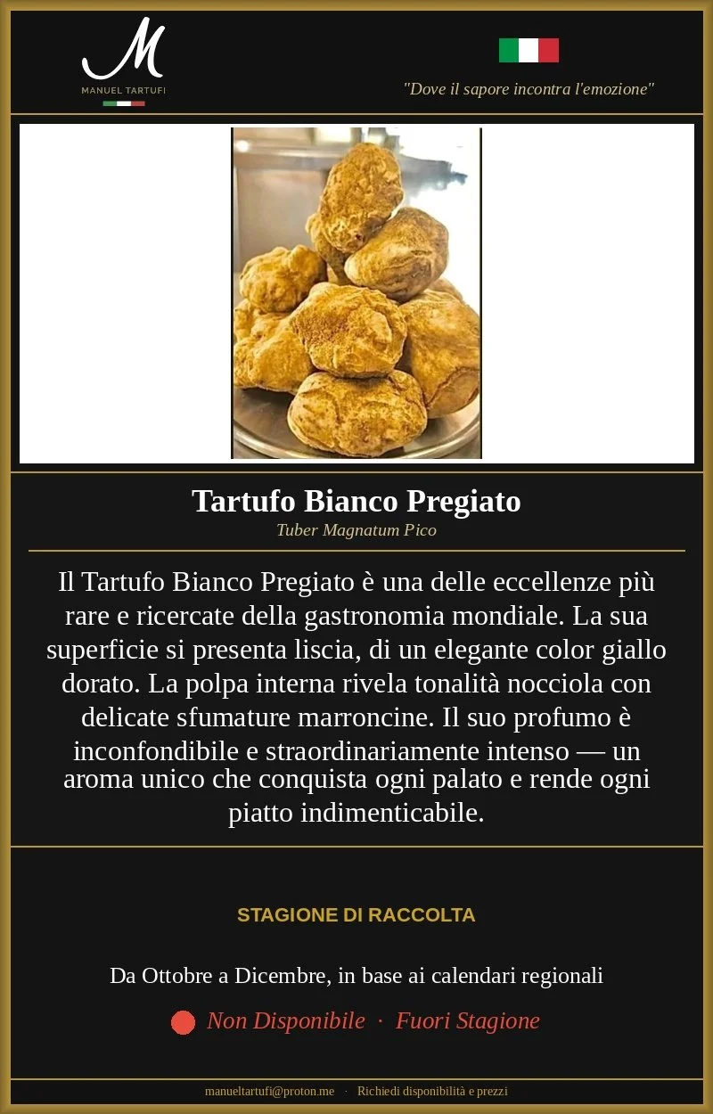 Tartufo Bianco Pregiato fresco Tuber Magnatum Pico - Manuel Tartufi vendita tartufo fresco