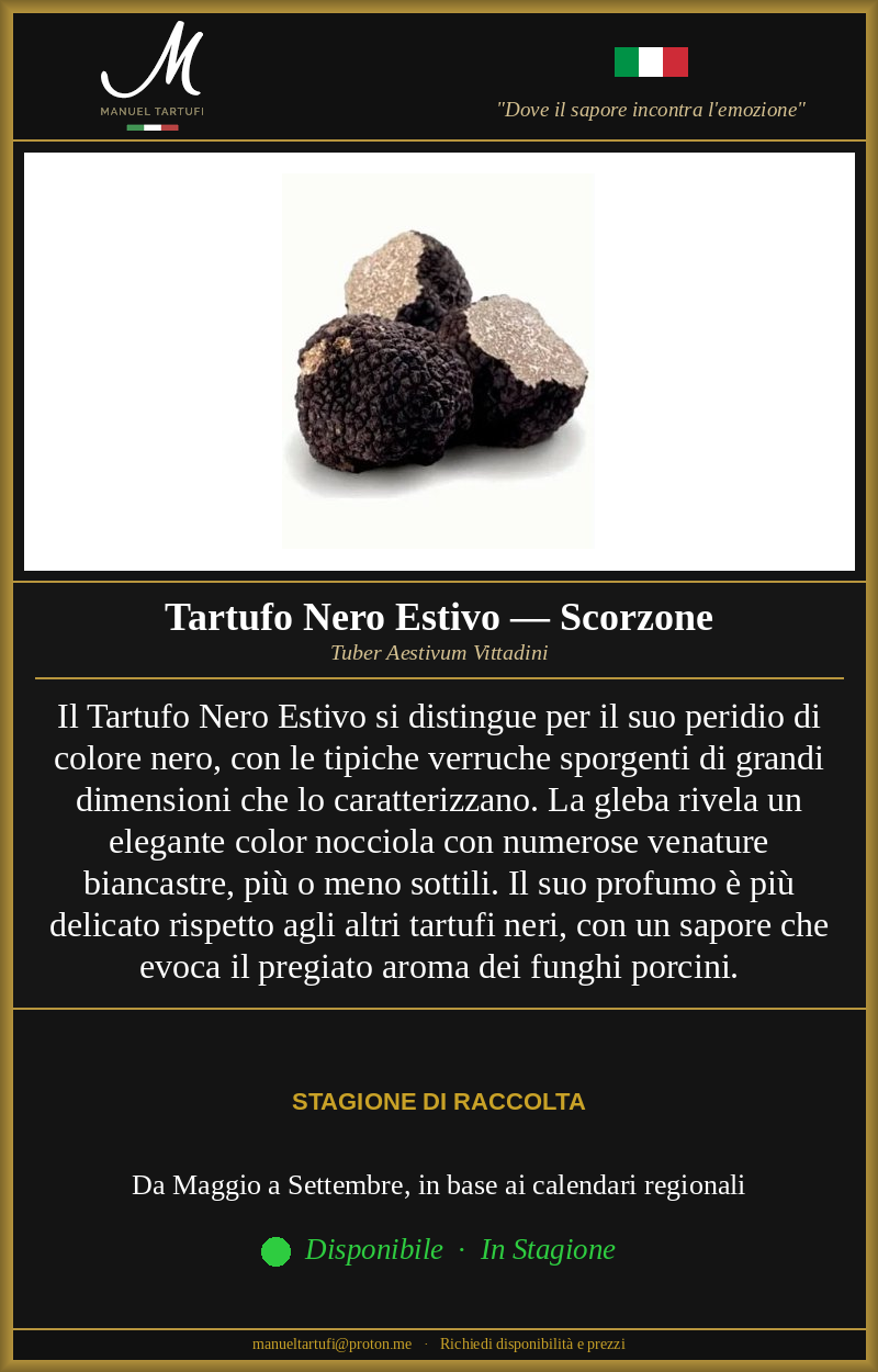 Tartufo Nero Estivo Scorzone fresco Tuber Aestivum Vittadini - Manuel Tartufi vendita tartufo fresco