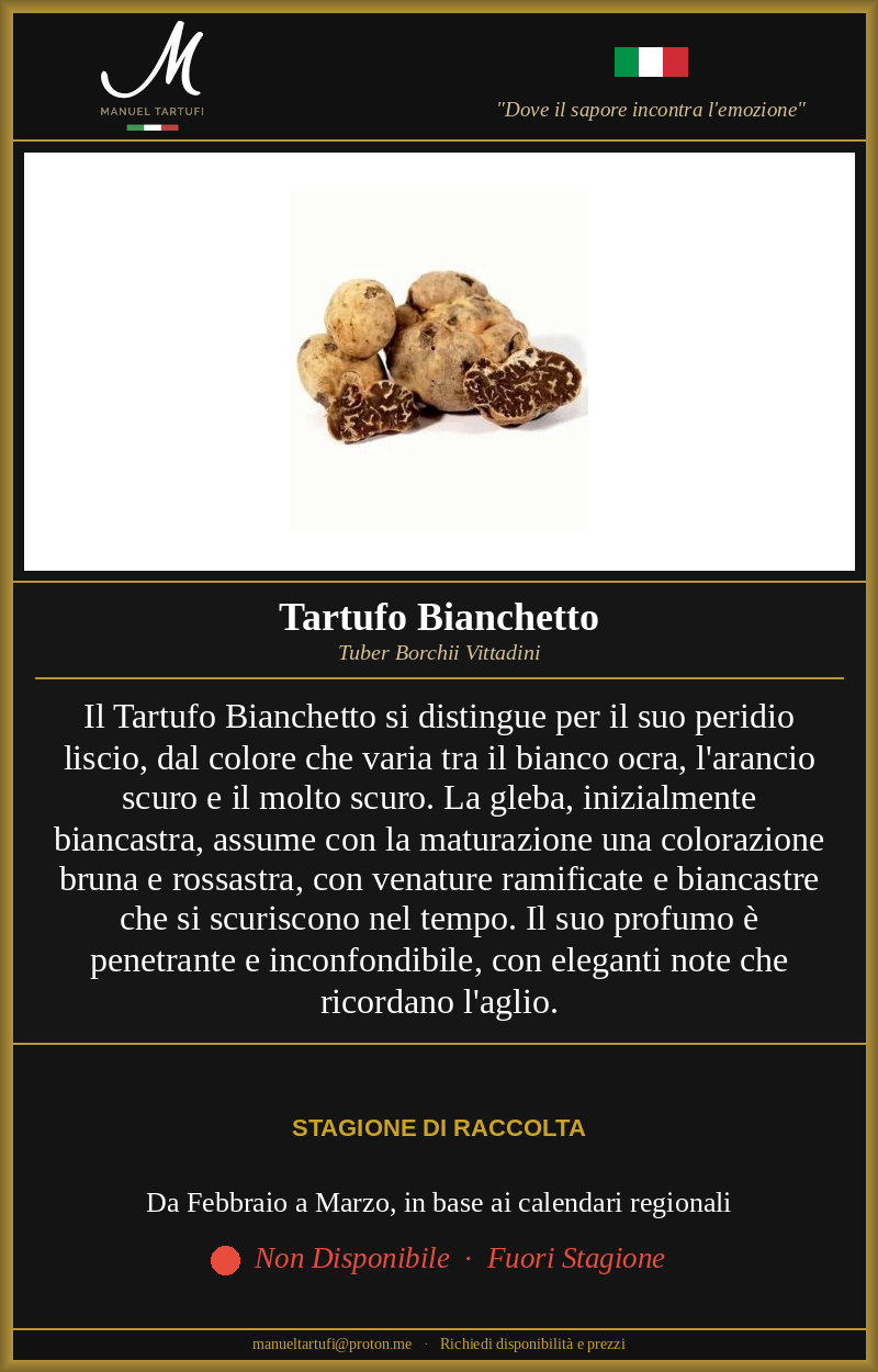 Tartufo Bianchetto fresco Tuber Borchii Vittadini - Manuel Tartufi vendita tartufo fresco
