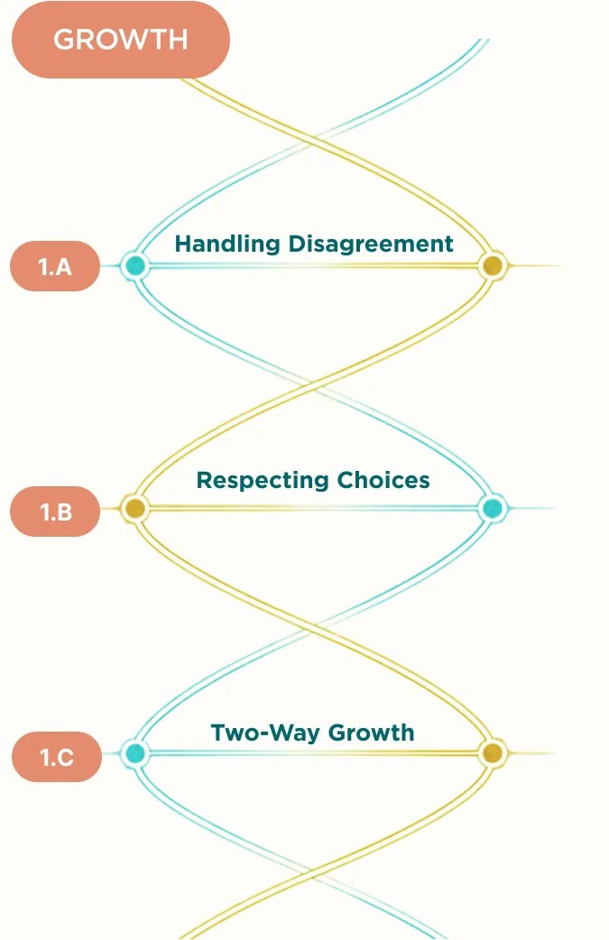 Growth relationship dimensions: Handling Disagreement, Respecting Choices and Two-Way Growth