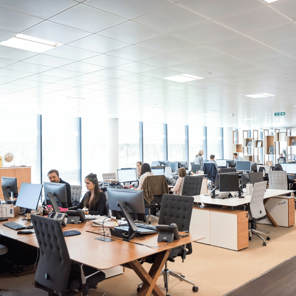Open office space with multiple employees working at desks with computers and office supplies, large windows, and high ceiling with fluorescent lights.