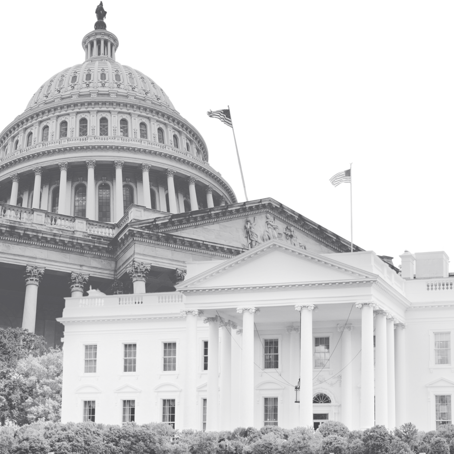 Black and white photo of the United States Capitol building with flags flying and trees in front.