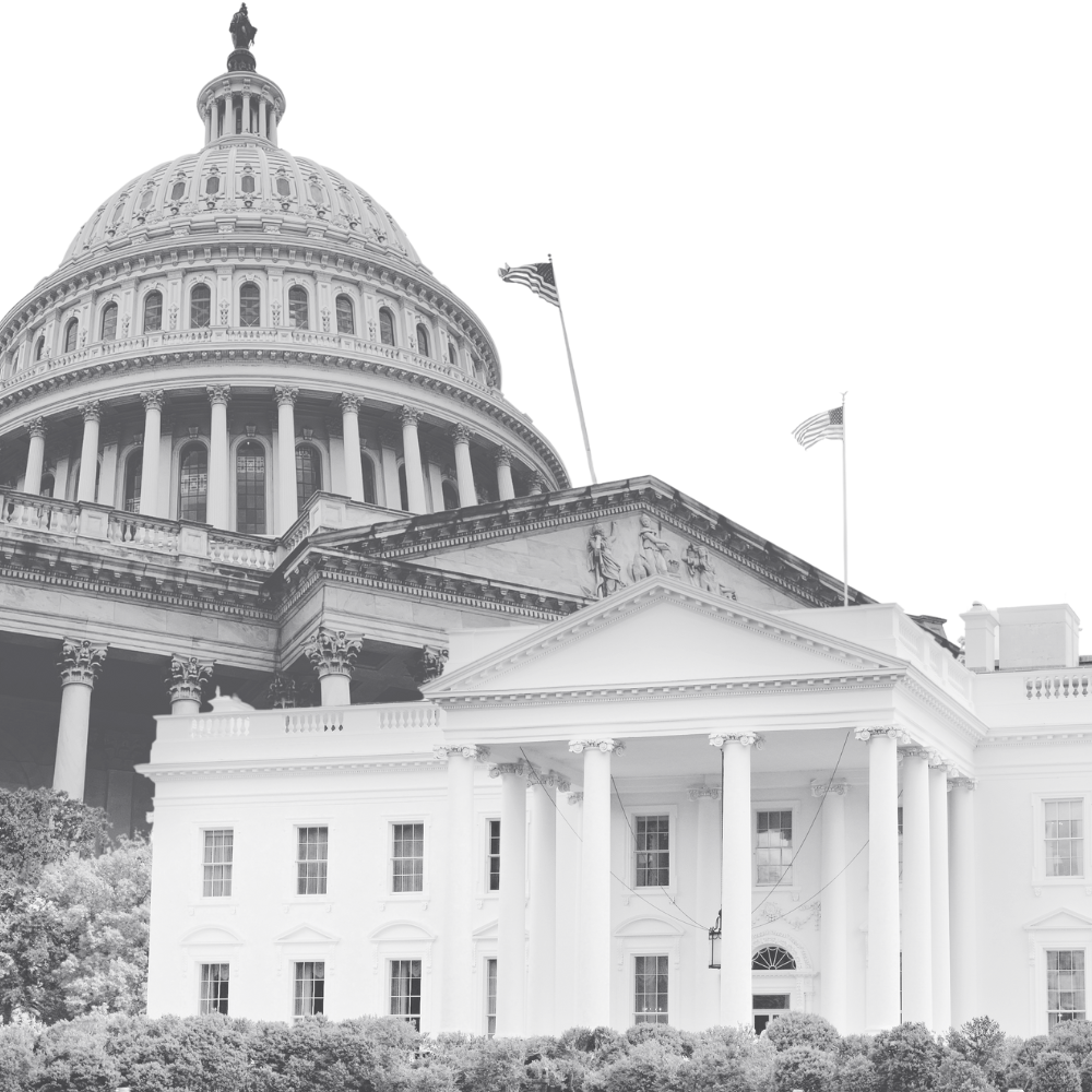 Black and white photo of the United States Capitol building exterior, featuring a large dome and columns, with American flags flying nearby.