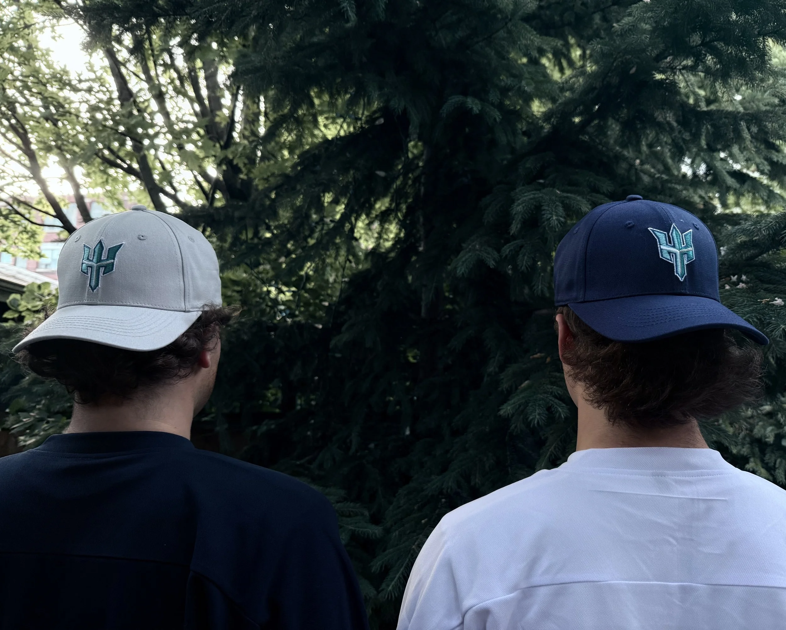 Baseball Cap - Navy & Silver