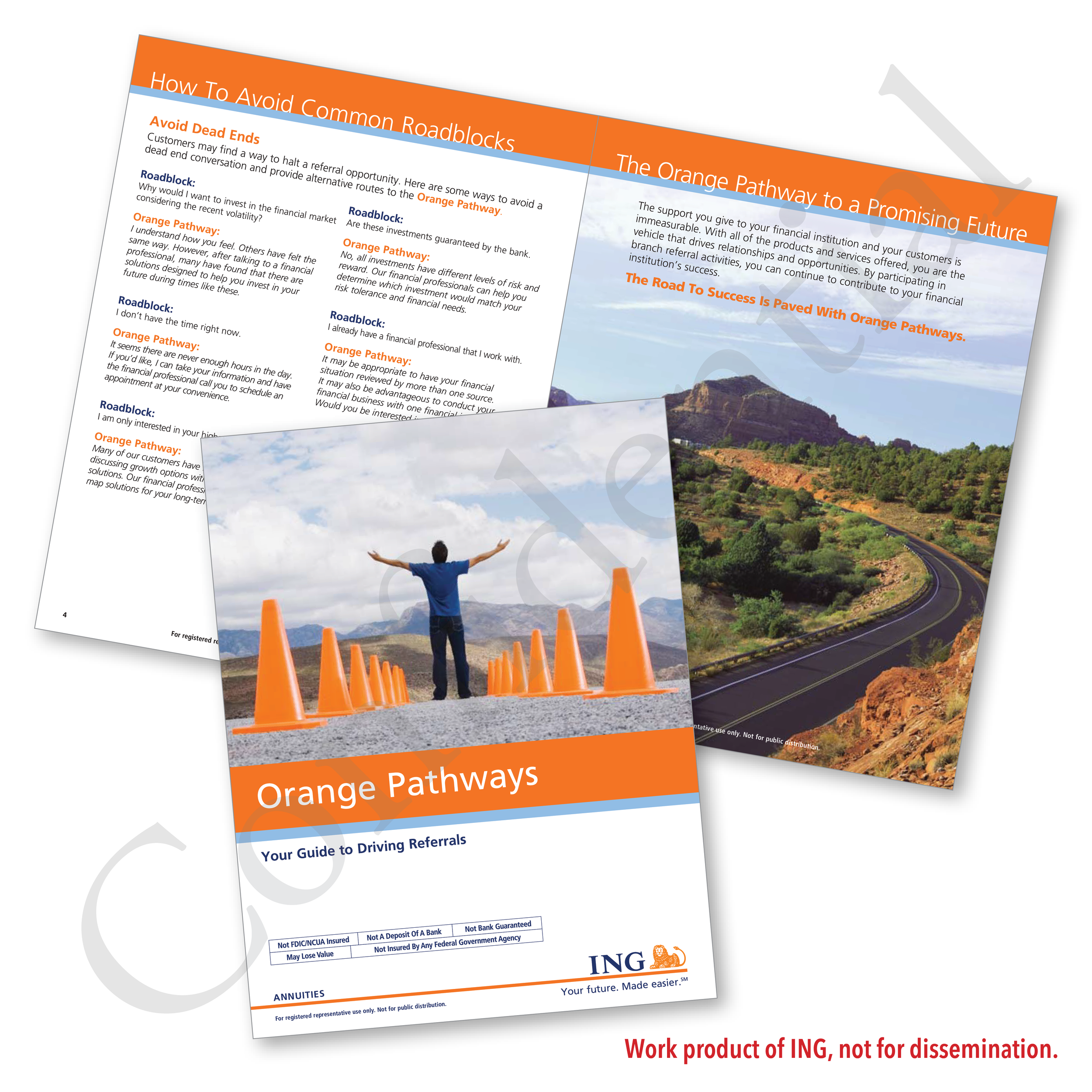 Orange_Pathways_ING.png