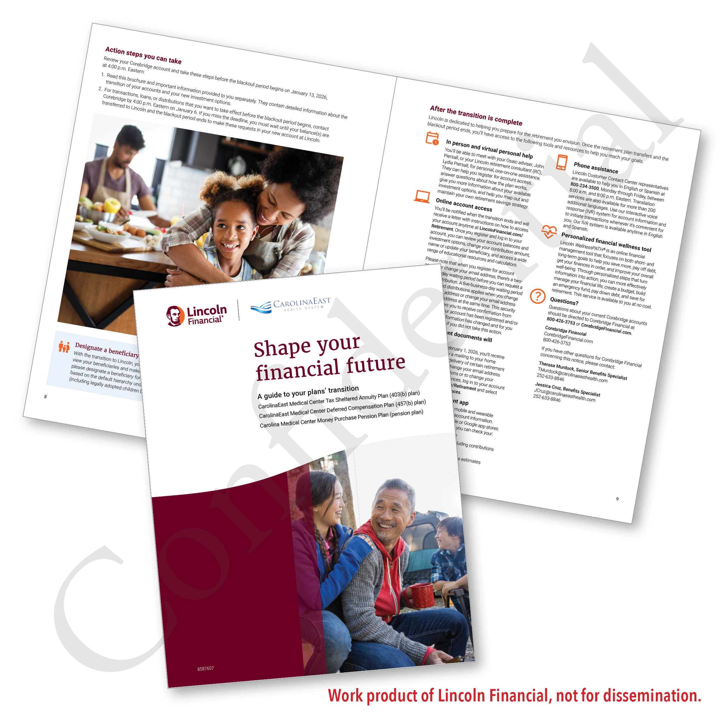 Shape_Future_Brochure_Lincoln.png