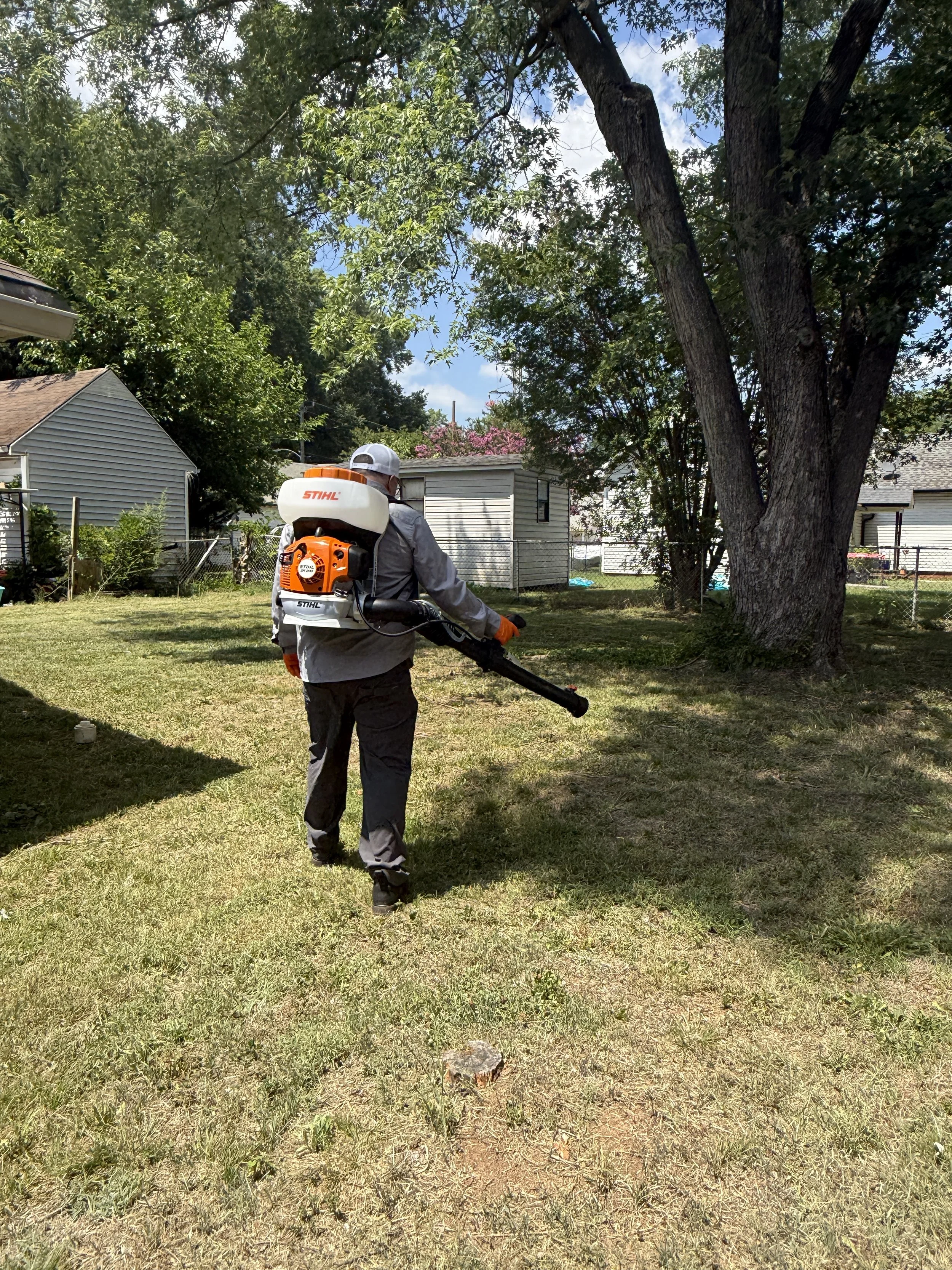 mosquito treatment