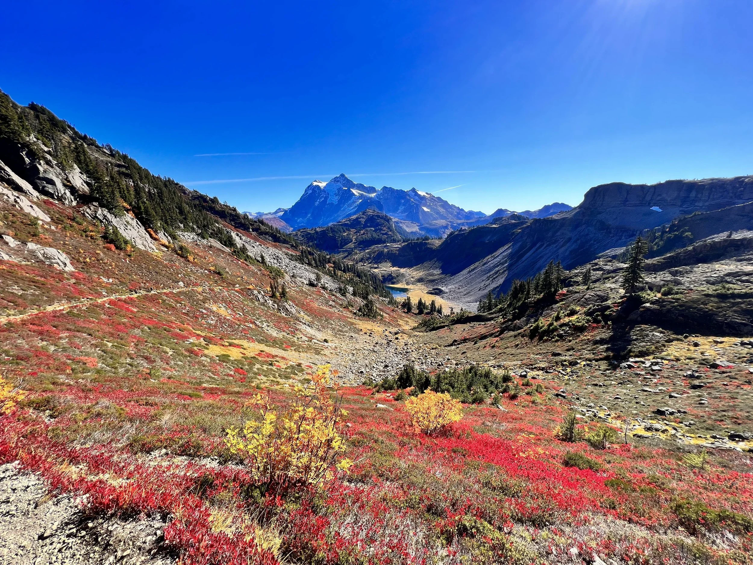 View of a mountainous landscape with snow-capped peaks, green forests, and colorful ground cover in fall, under a clear blue sky.