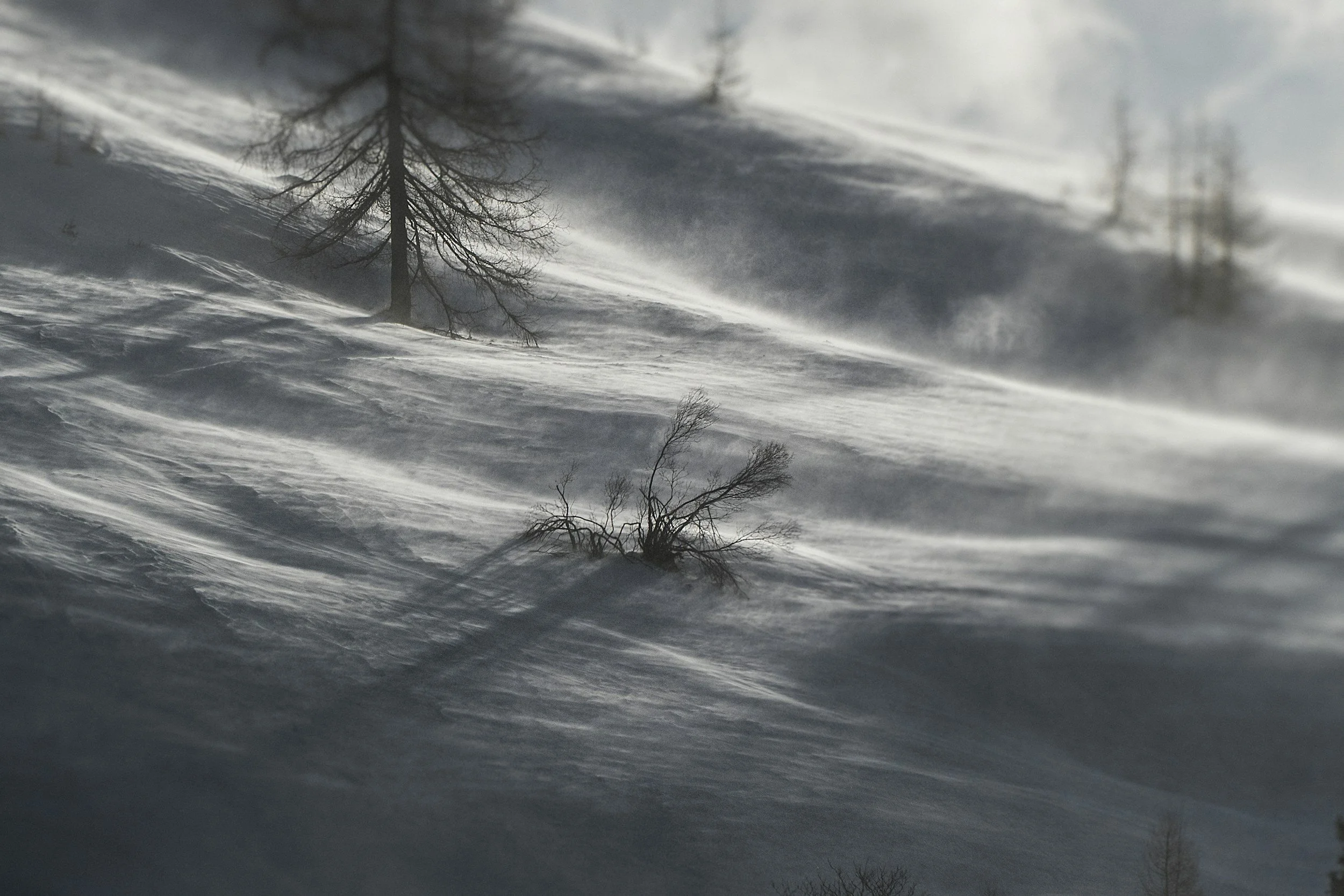[004] Dead Mountain: The Dyatlov Pass Incident