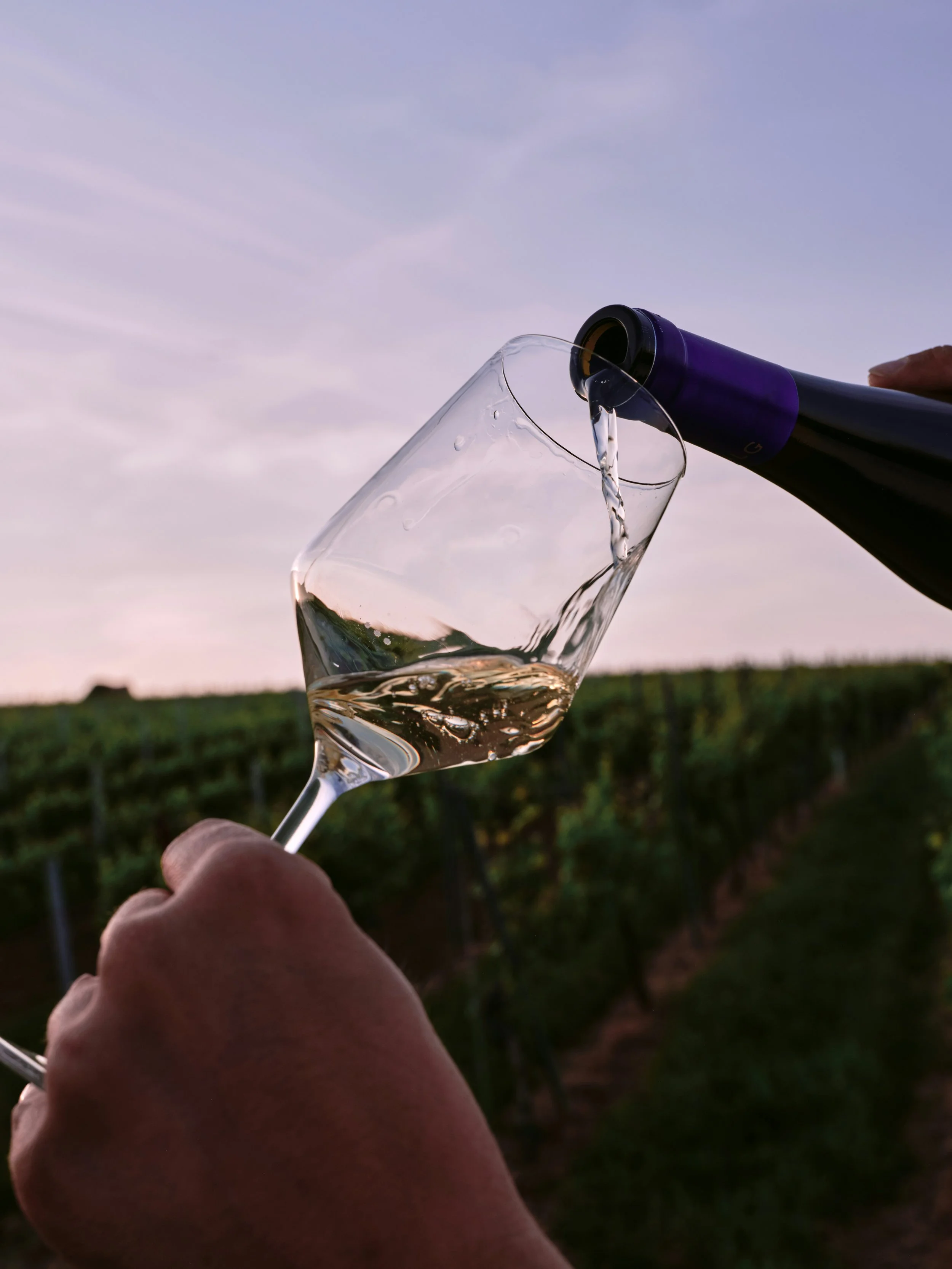 Wine &amp; Culture