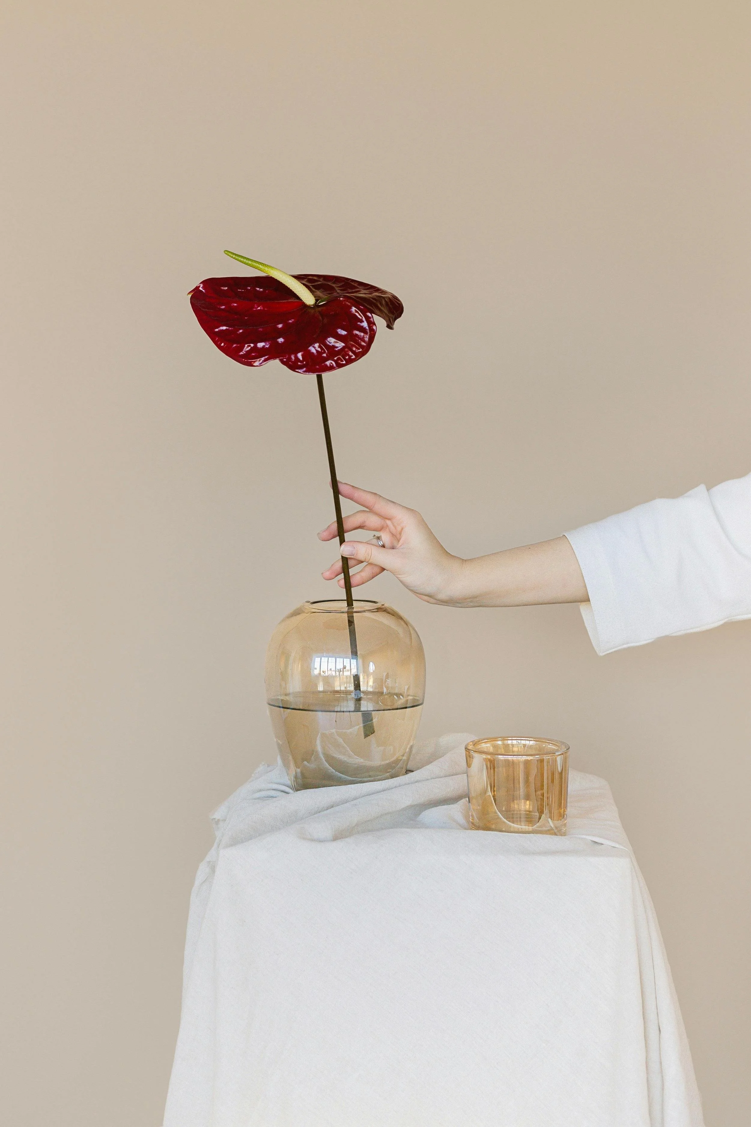 A hand holding an anthurium flower with shiny red petals and a green stem. The flower is held over a glass vase filled with water on a white tablecloth, with a beige background.