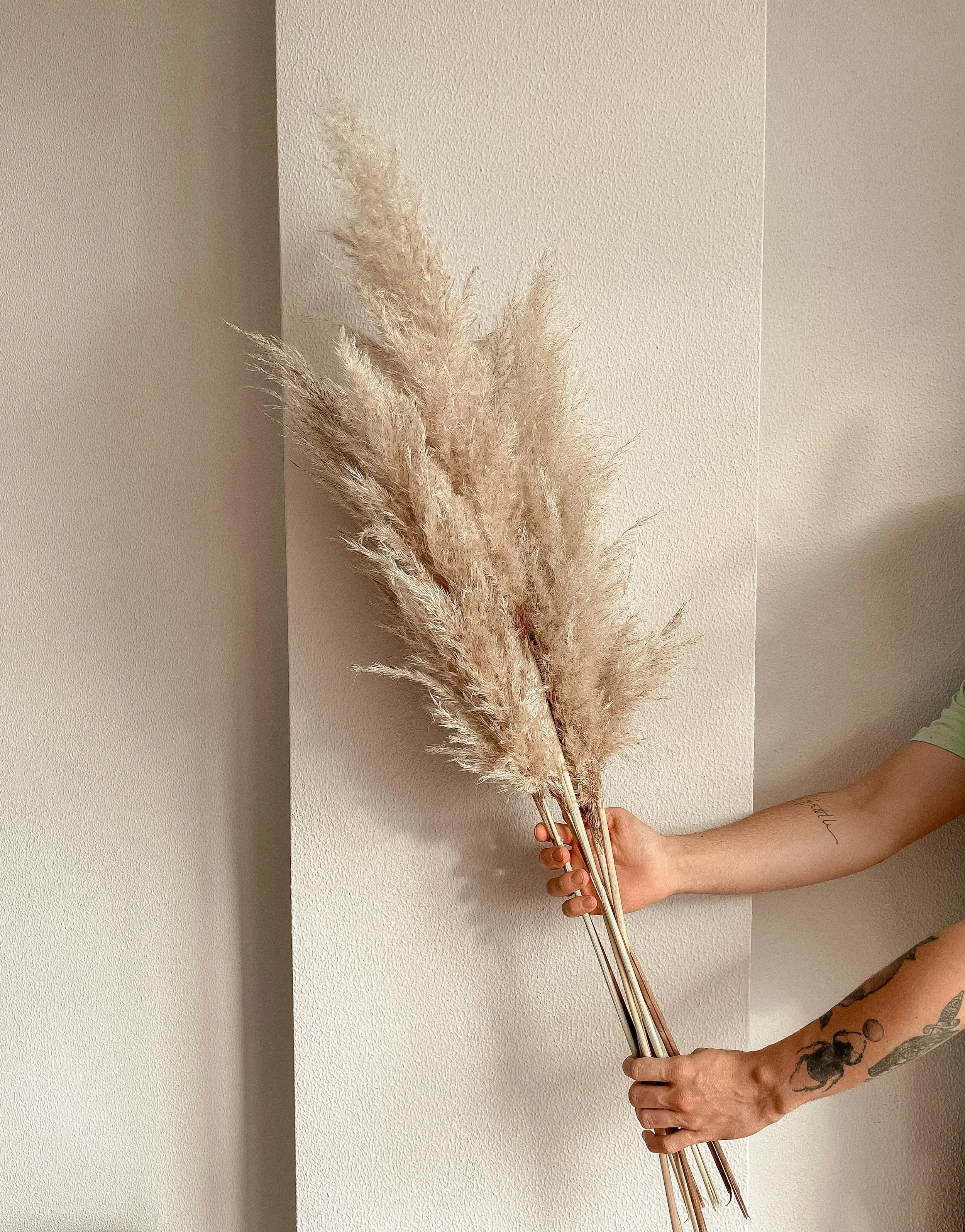 Person holding a bunch of beige pampas grass stems against a beige wall, their arm visible with tattoos.