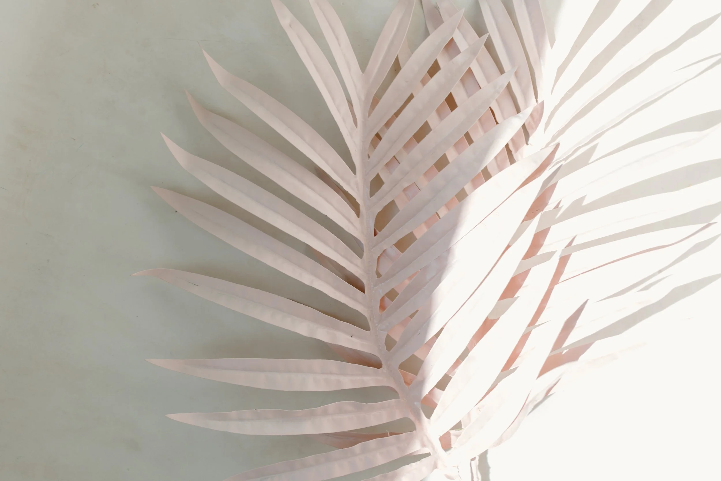 A white paper art piece with a geometric leaf design casting shadows on a pale surface.
