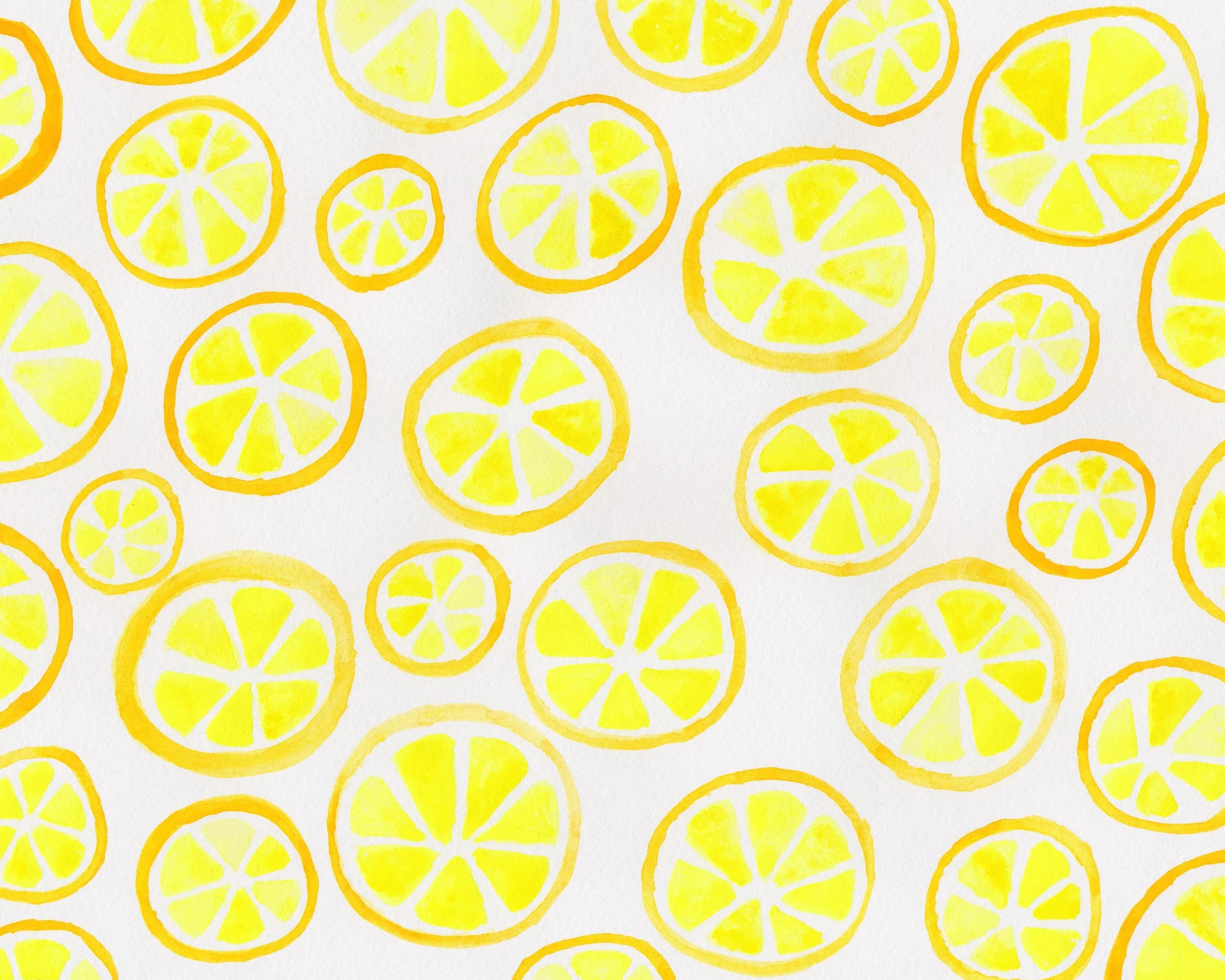 Lemon Slices 8x10.jpg