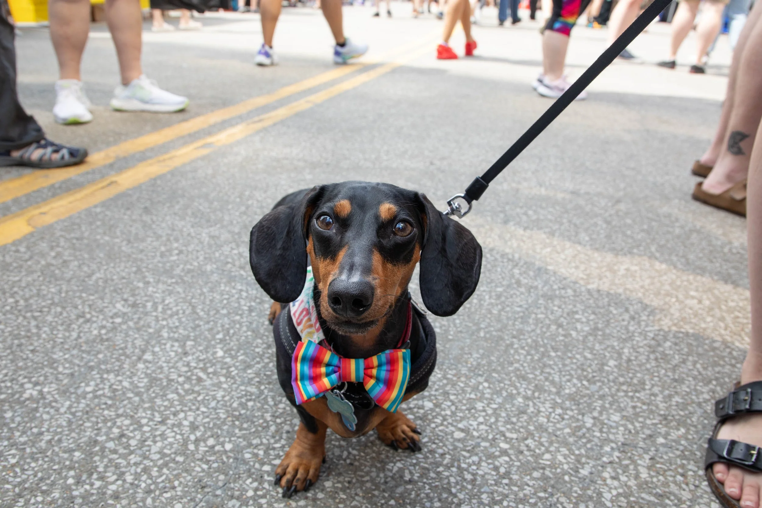 AKRON23PRIDE-2257.JPG