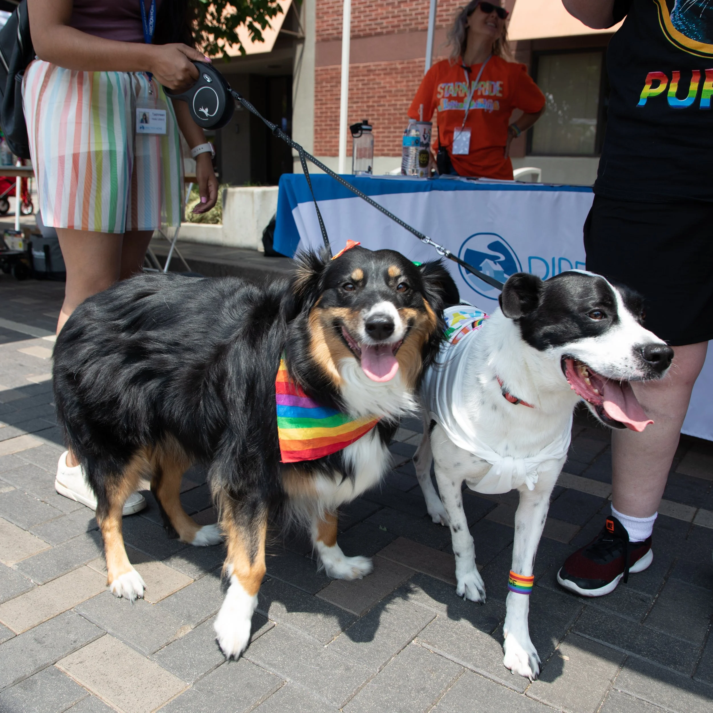 STARKPRIDE2023-7.JPG