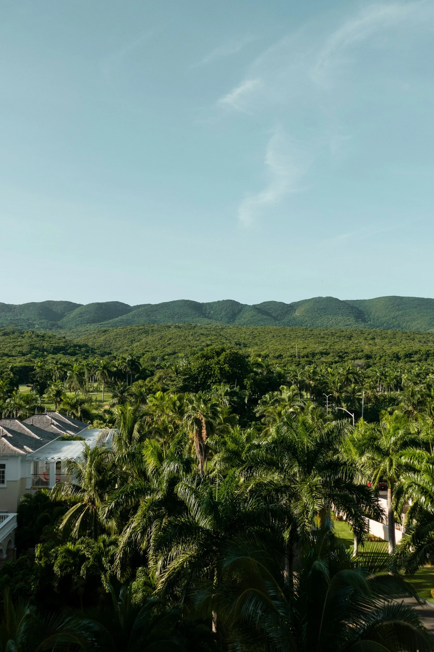 A landscape with lush green hills and palm trees in the foreground, houses with gray roofs, and a clear blue sky with a few wispy clouds.