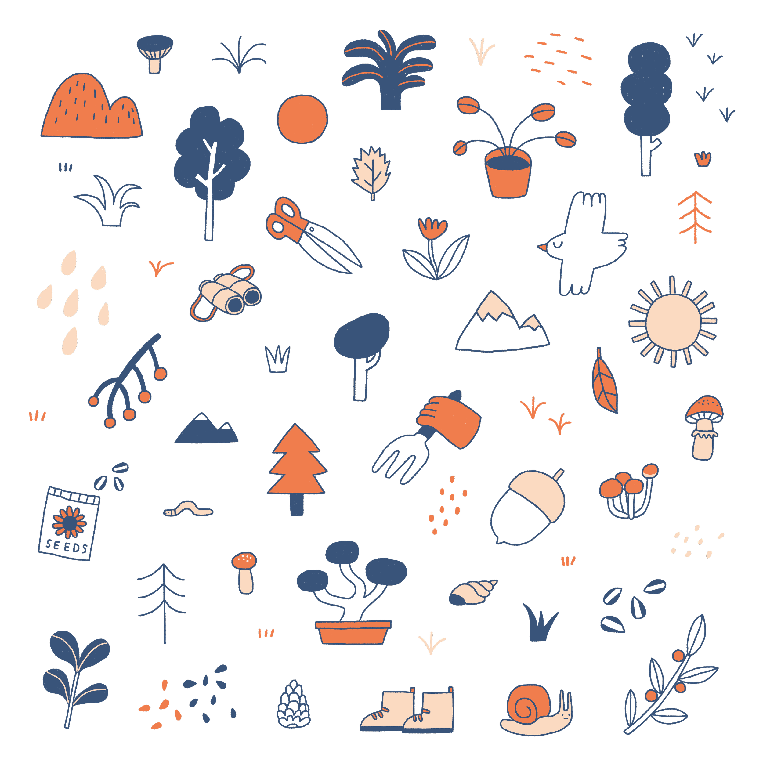 Bloom_pattern_colour 1.png