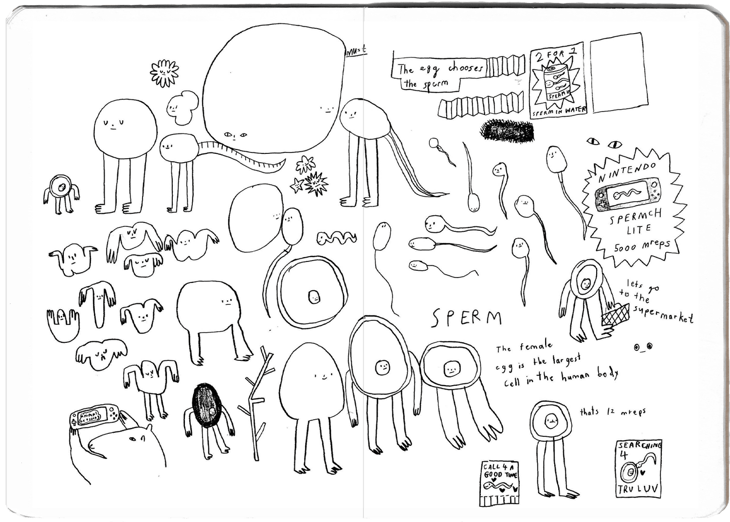 sperm+sketchbook+3-1.png.webp