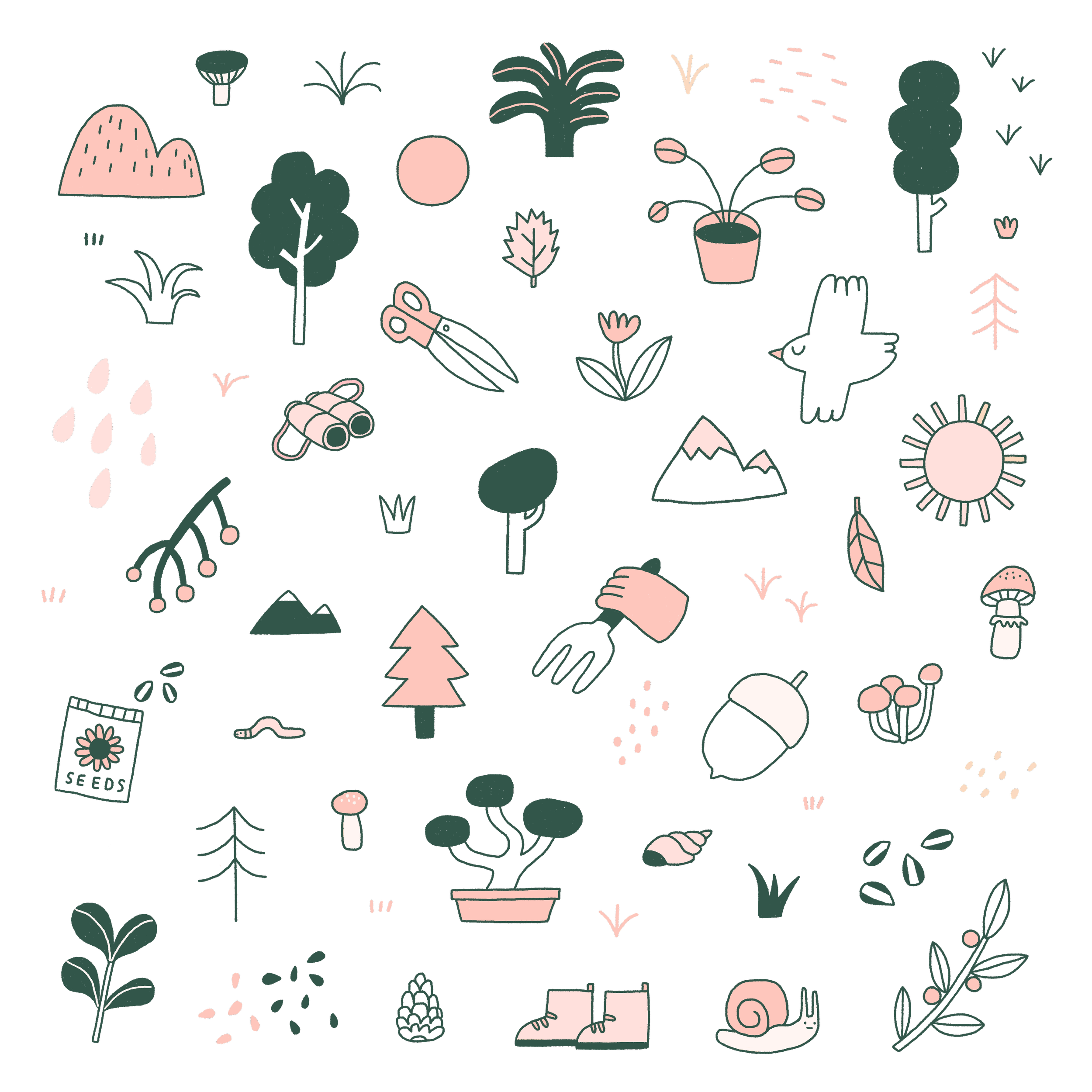 Bloom_pattern_colour 2.png