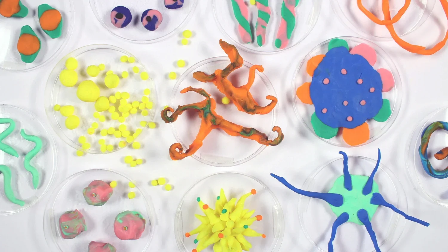 superbugs+edit+2.jpg.webp