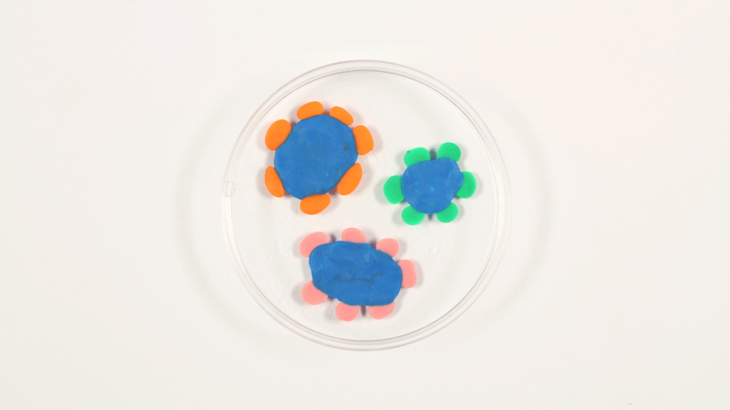 superbugs2_003_001.gif