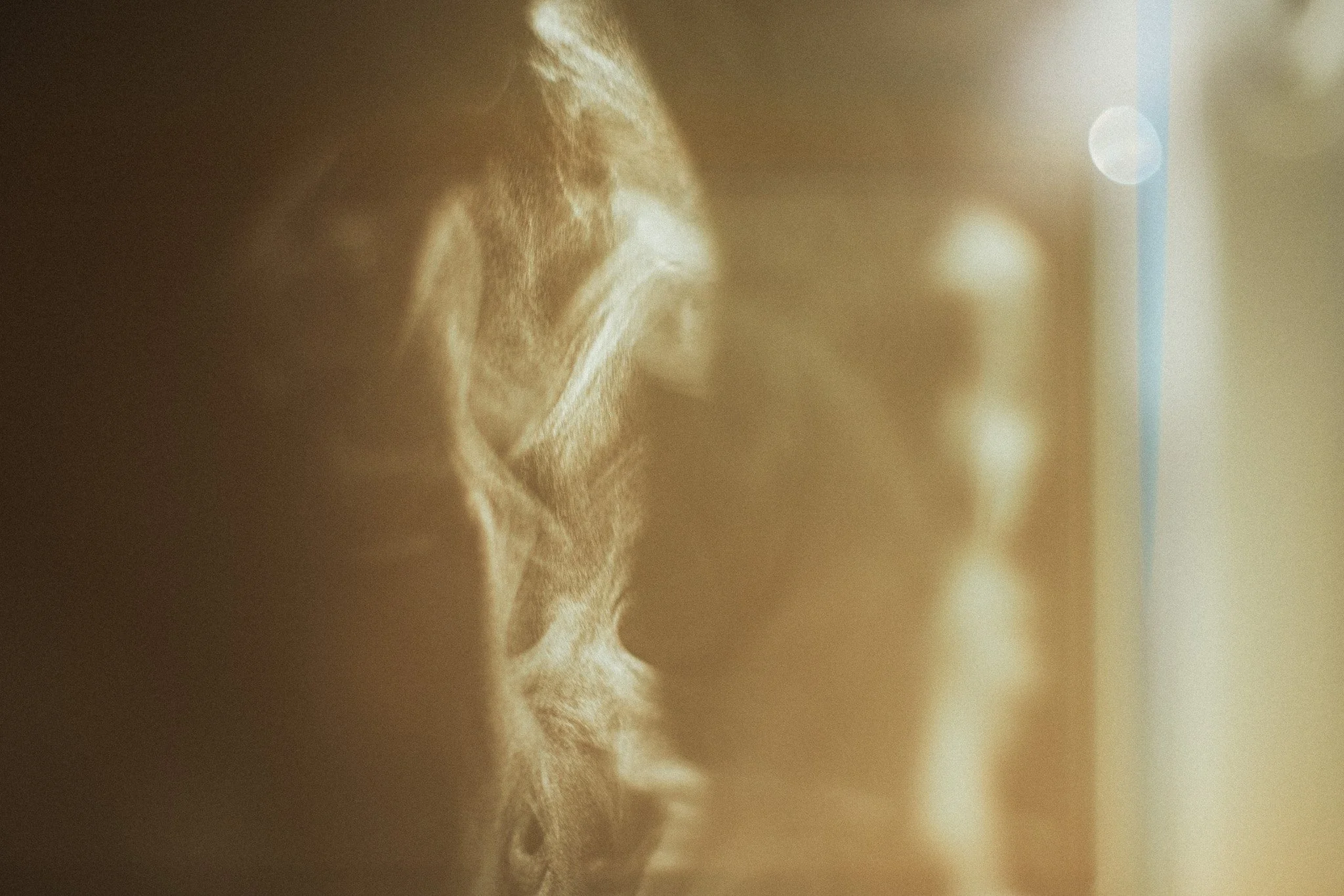 Metaphysics Project_2025-19.jpg