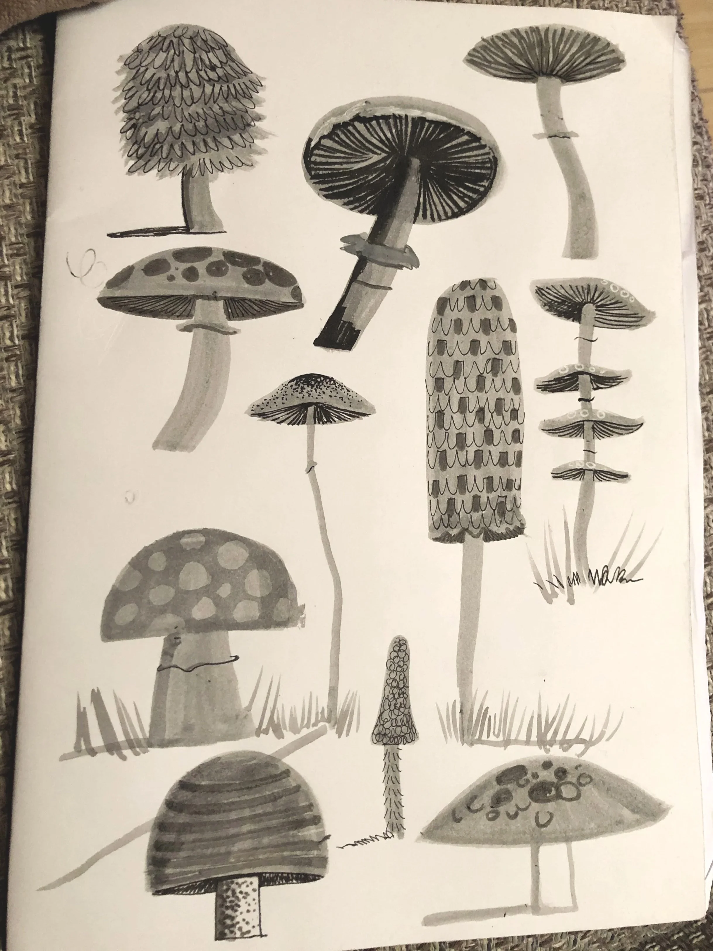 Funghi doodles
