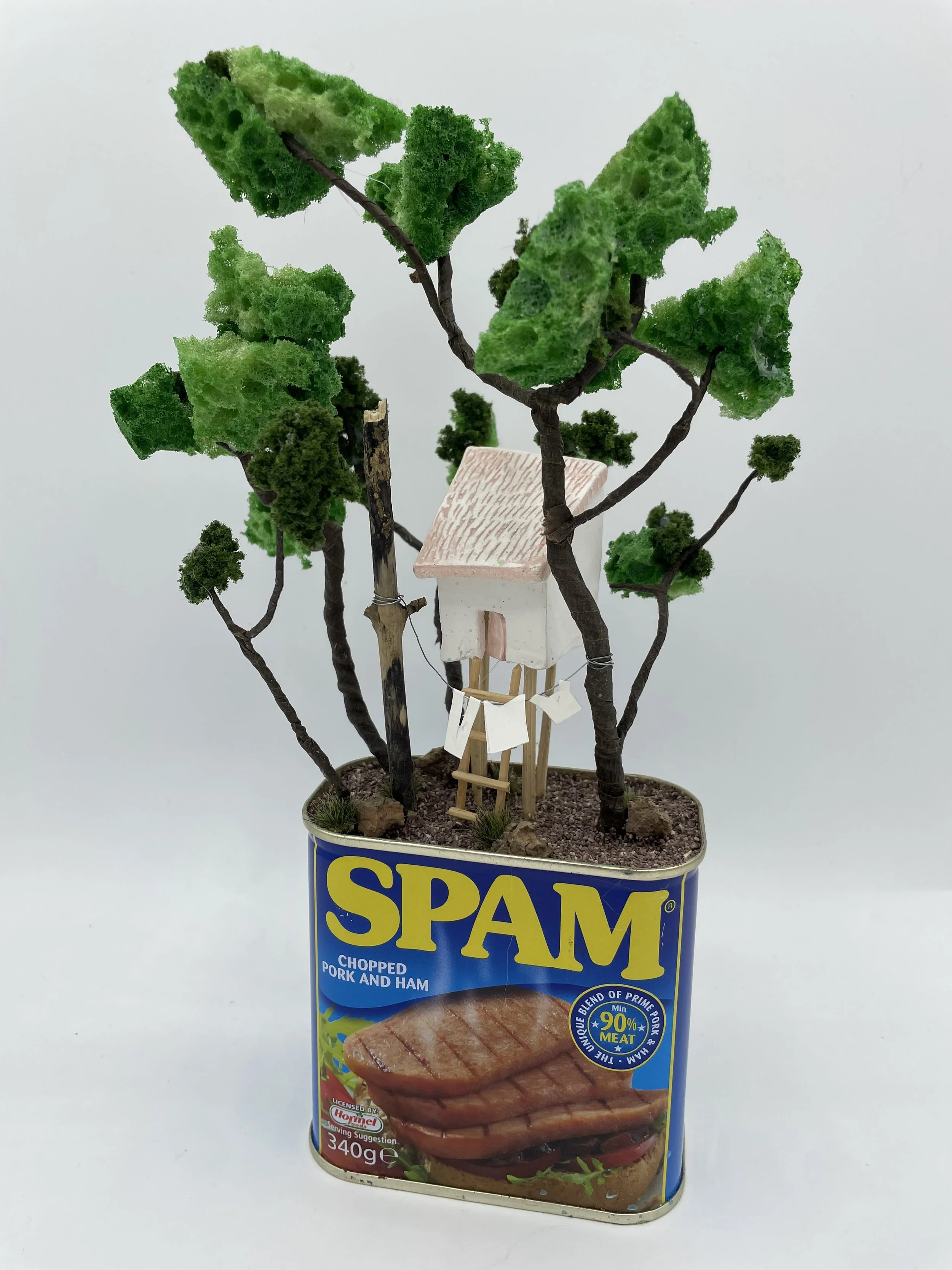 Spam House