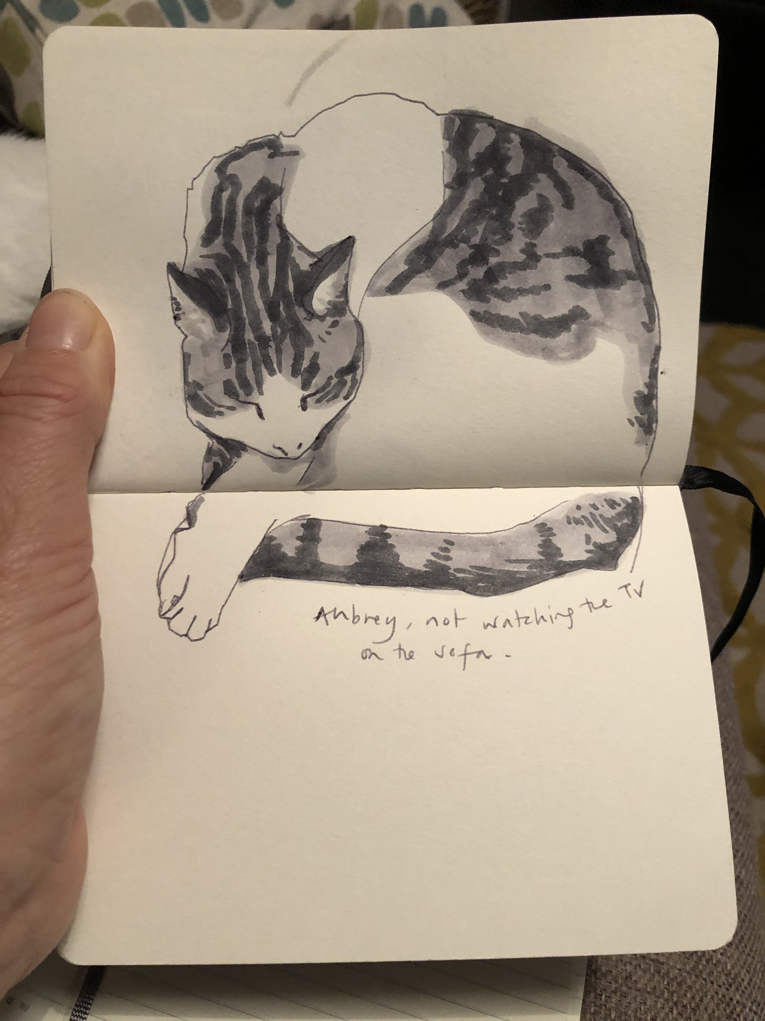 Aubrey the Cat on the Sofa - 2020