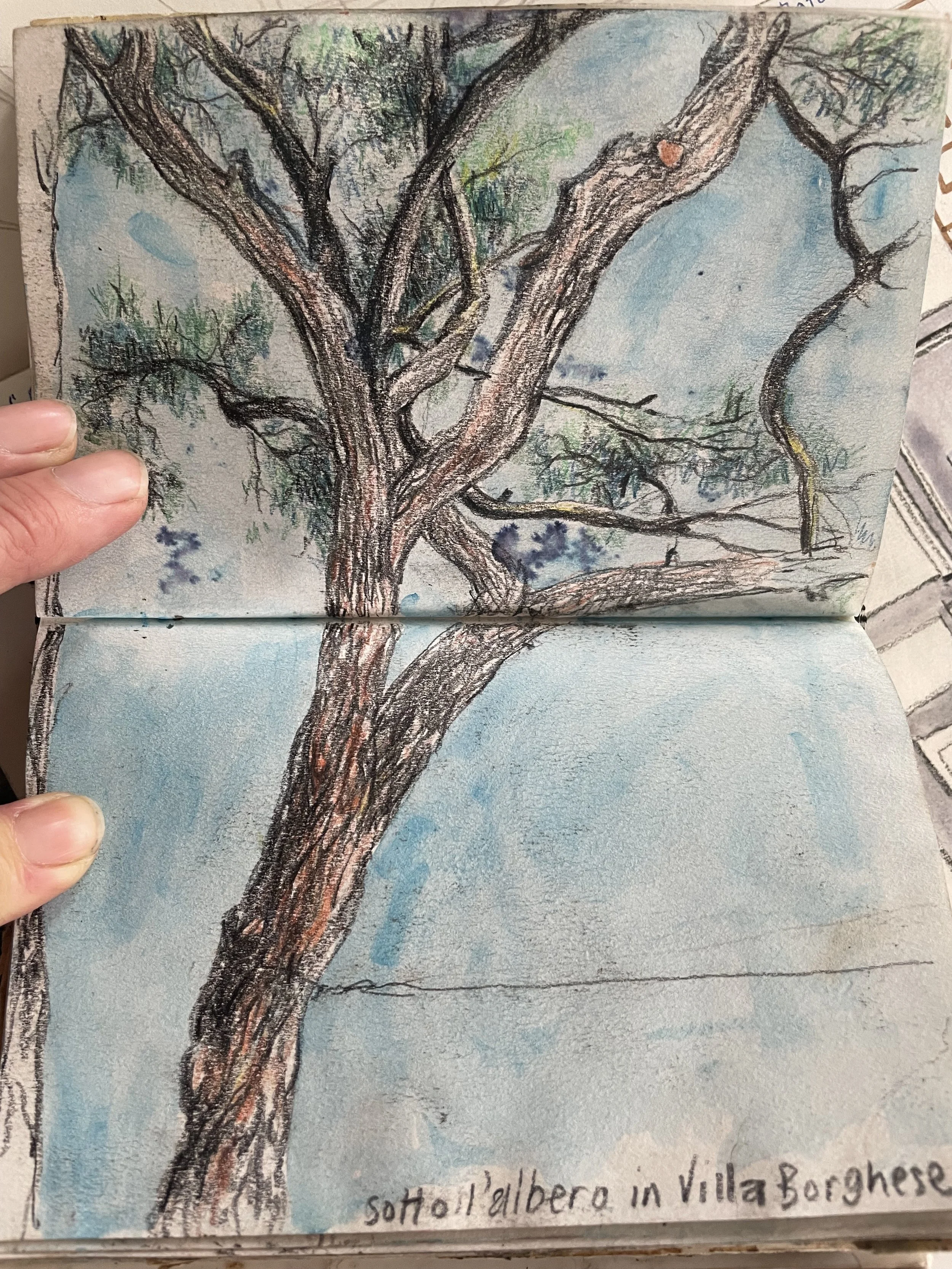 Looking up at a Tree in Rome 1989-90