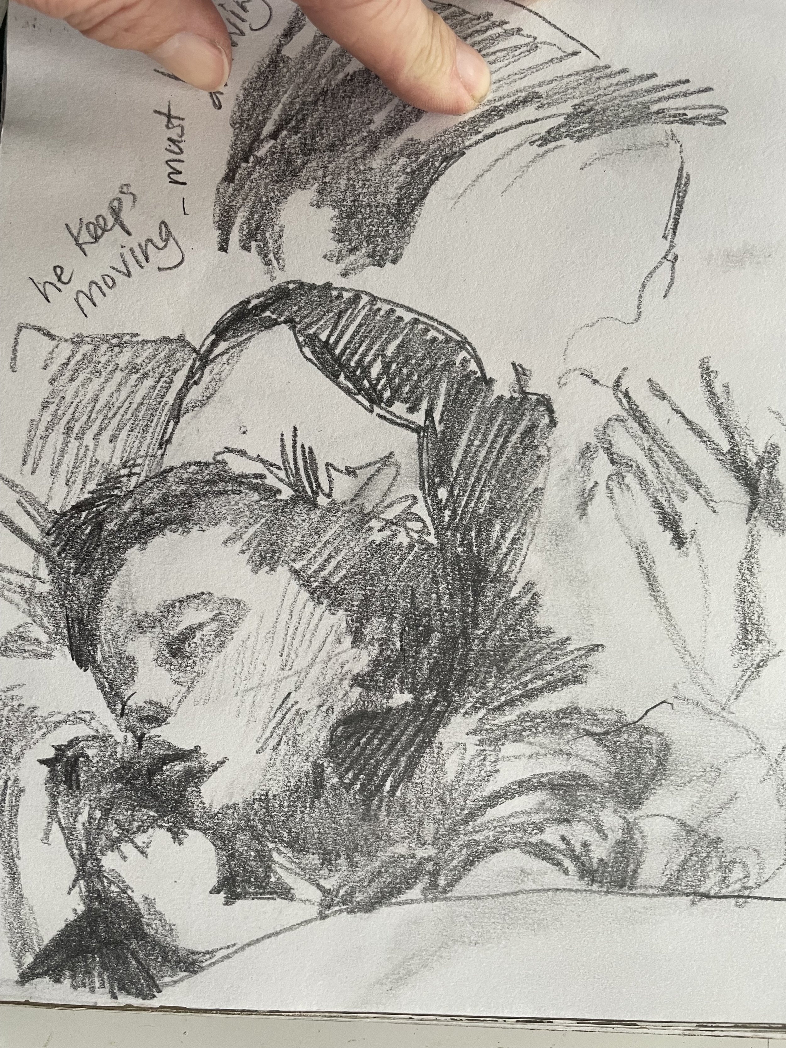Sam Sleeping
