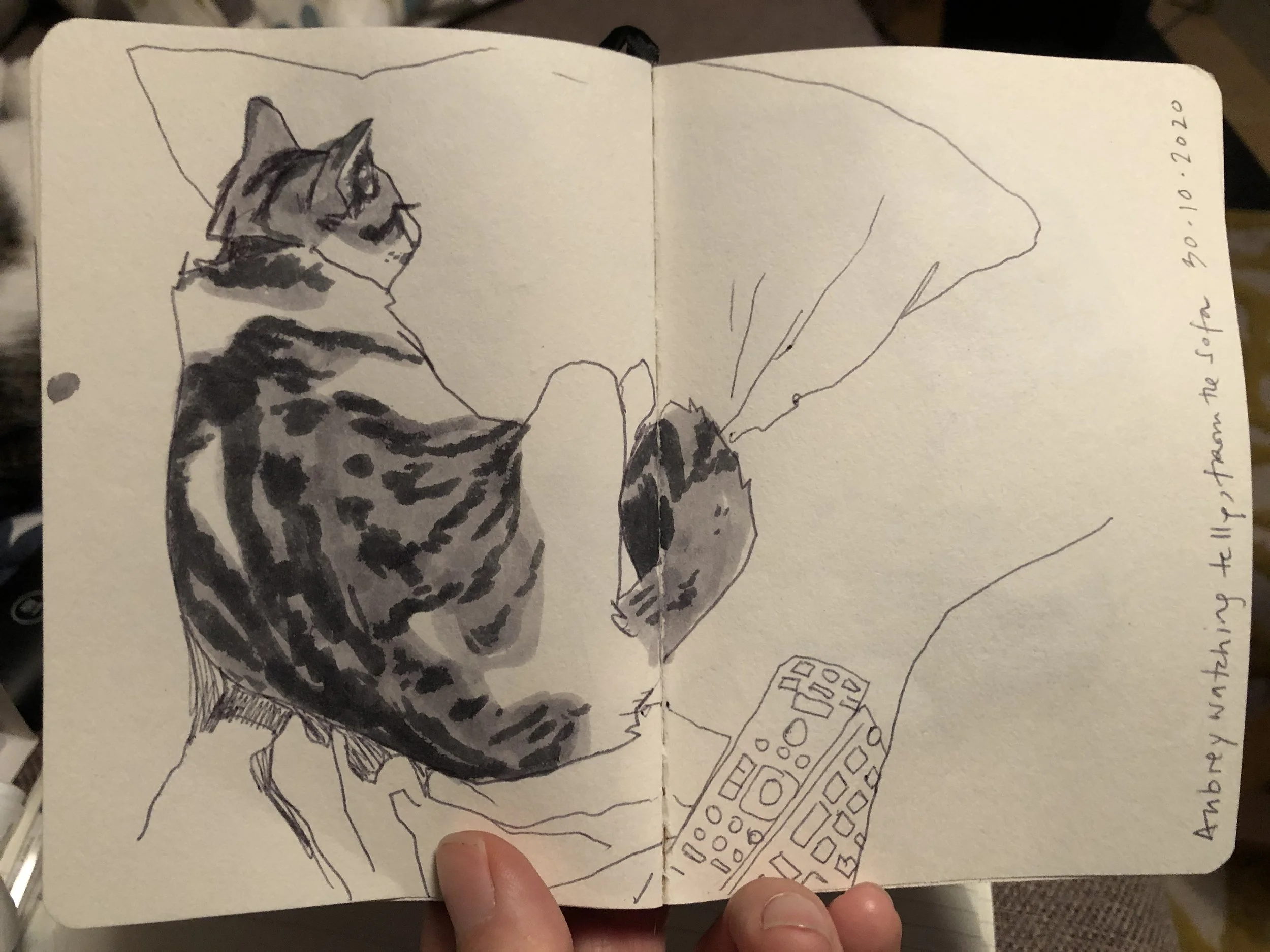 Aubrey the Cat on the Sofa - 2020