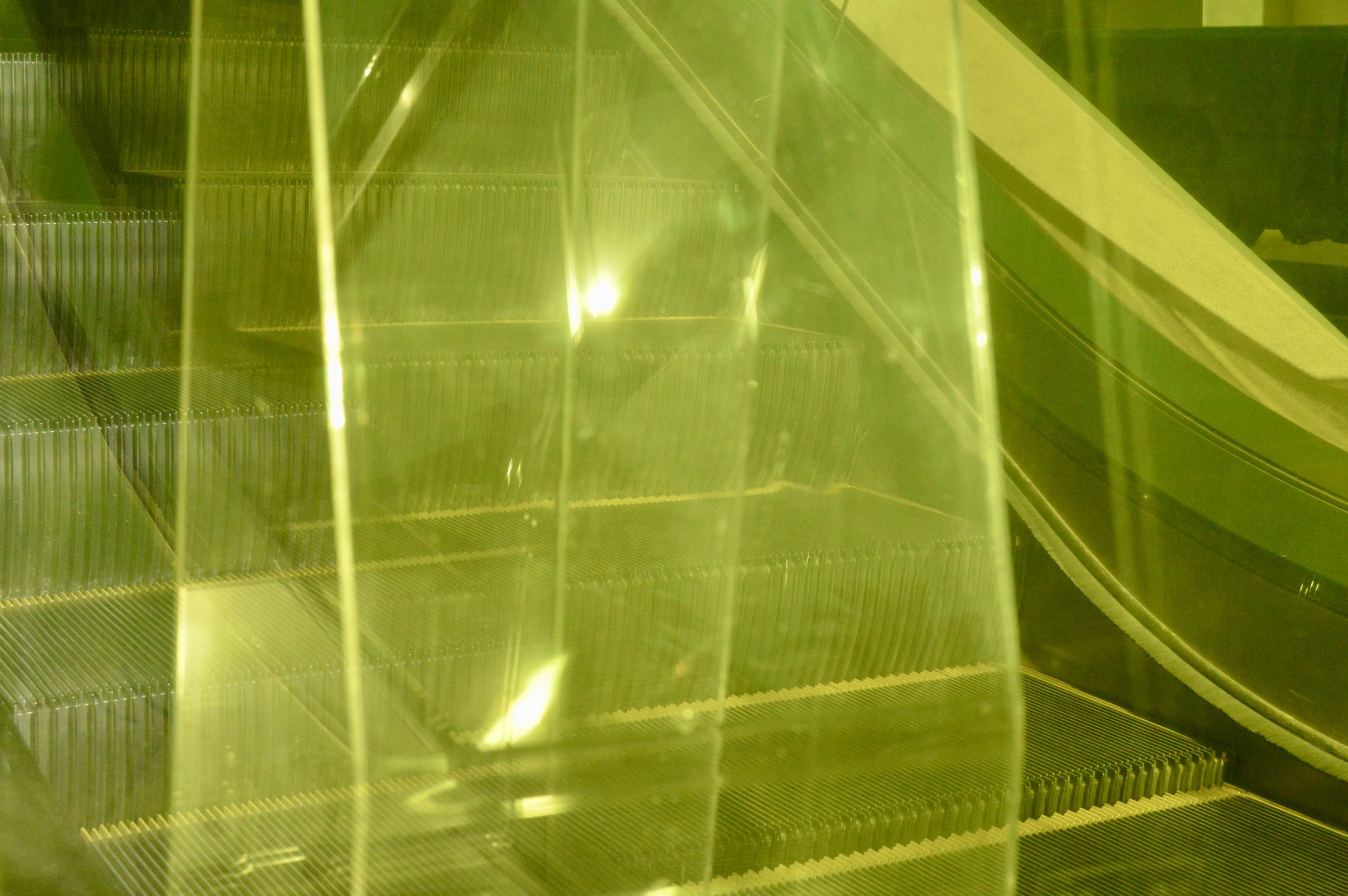 DSC_0008.jpeg