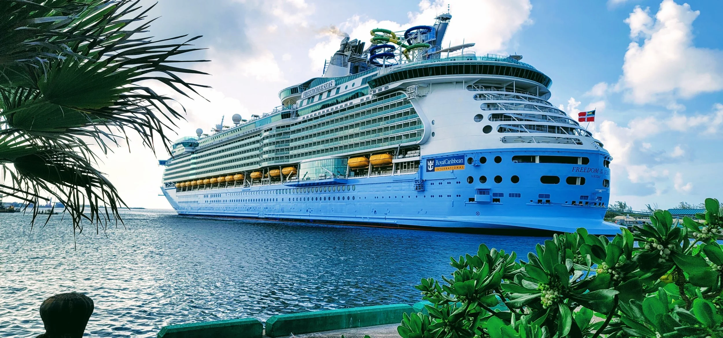 FREEDOM OF THE SEAS