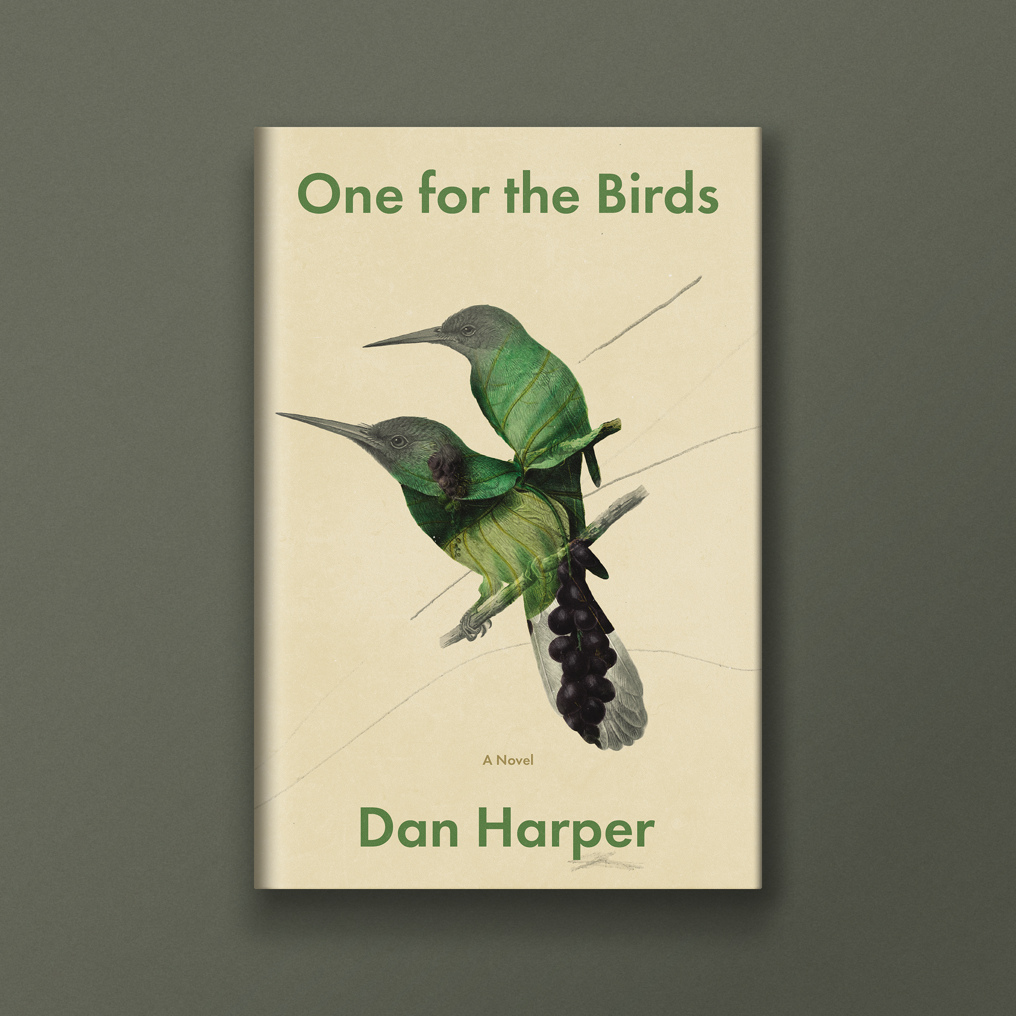One for the Birds C.png