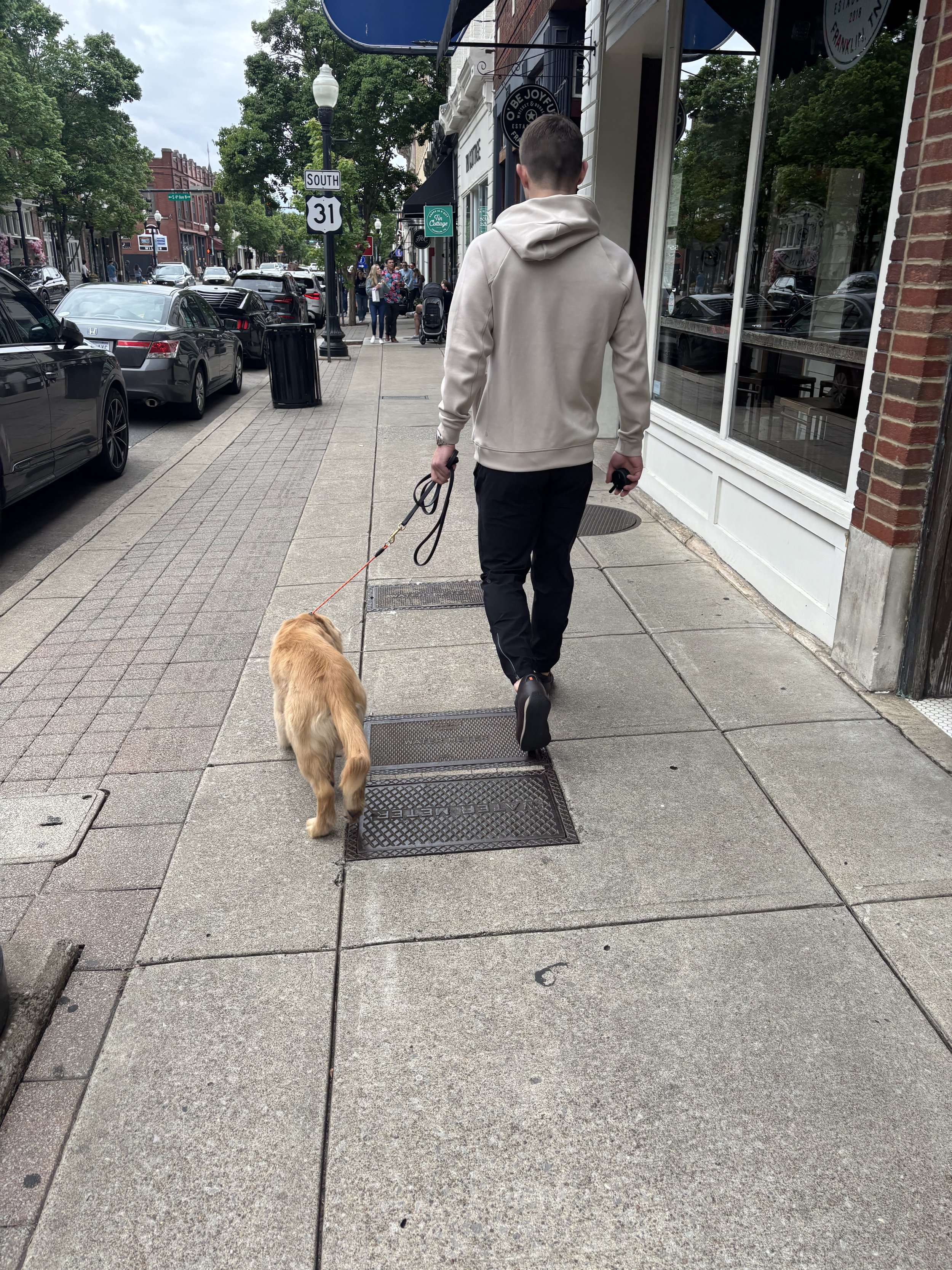 Man walking on sidewalk with dog, view from behind, in a downtown area with parked cars and shops, cloudy sky.