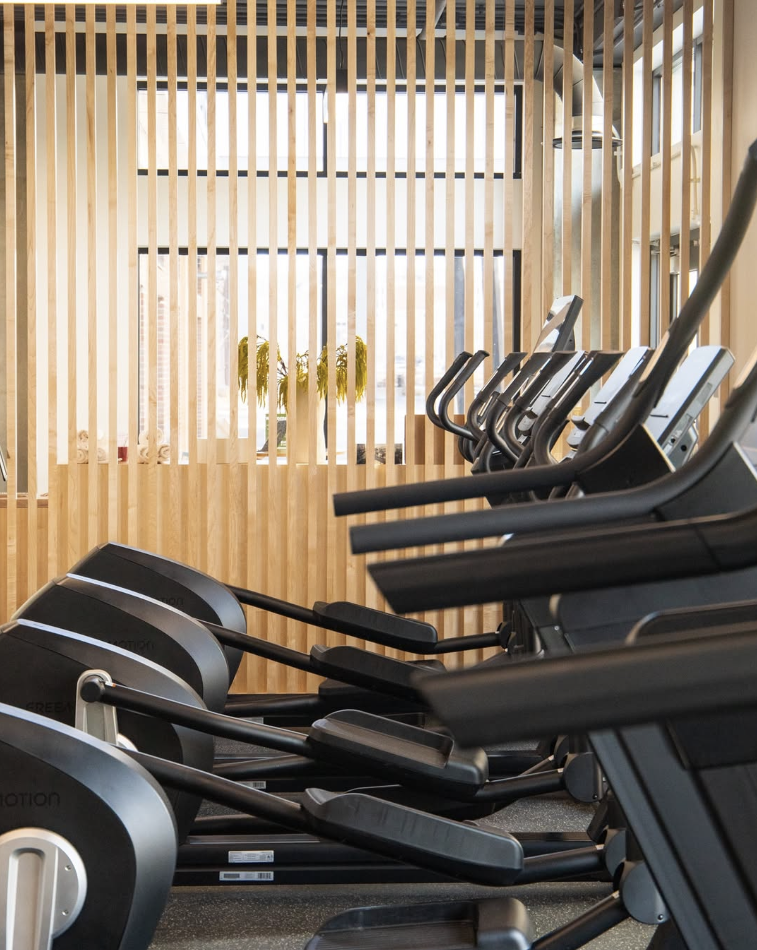Row of exercise treadmills in a gym with wooden dividers and large windows in the background.