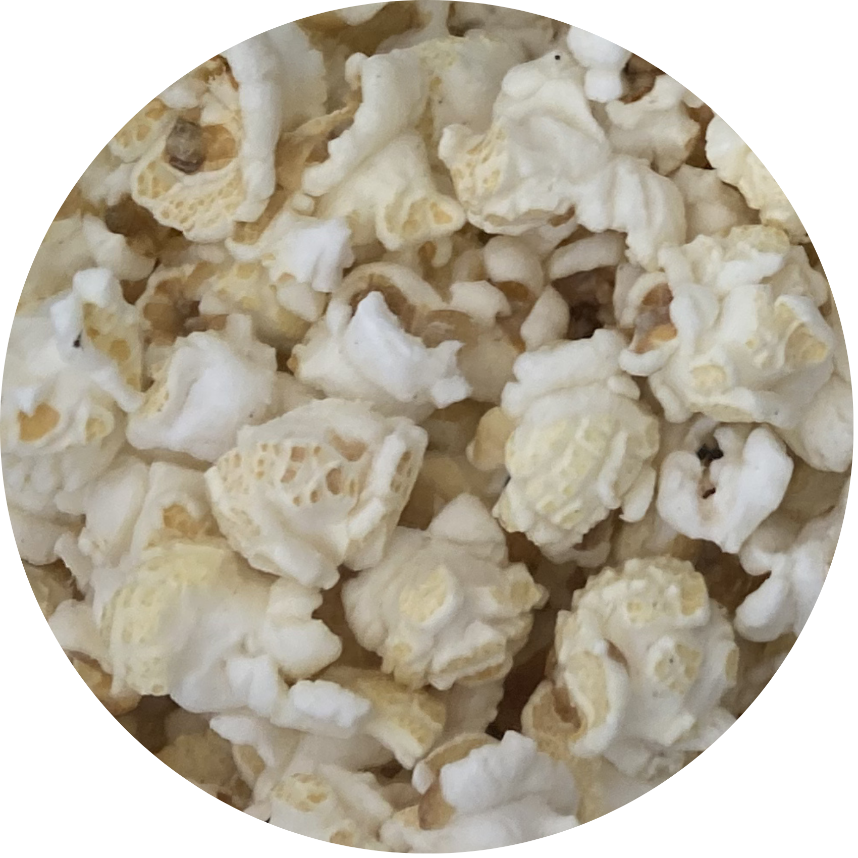 White Cheddar