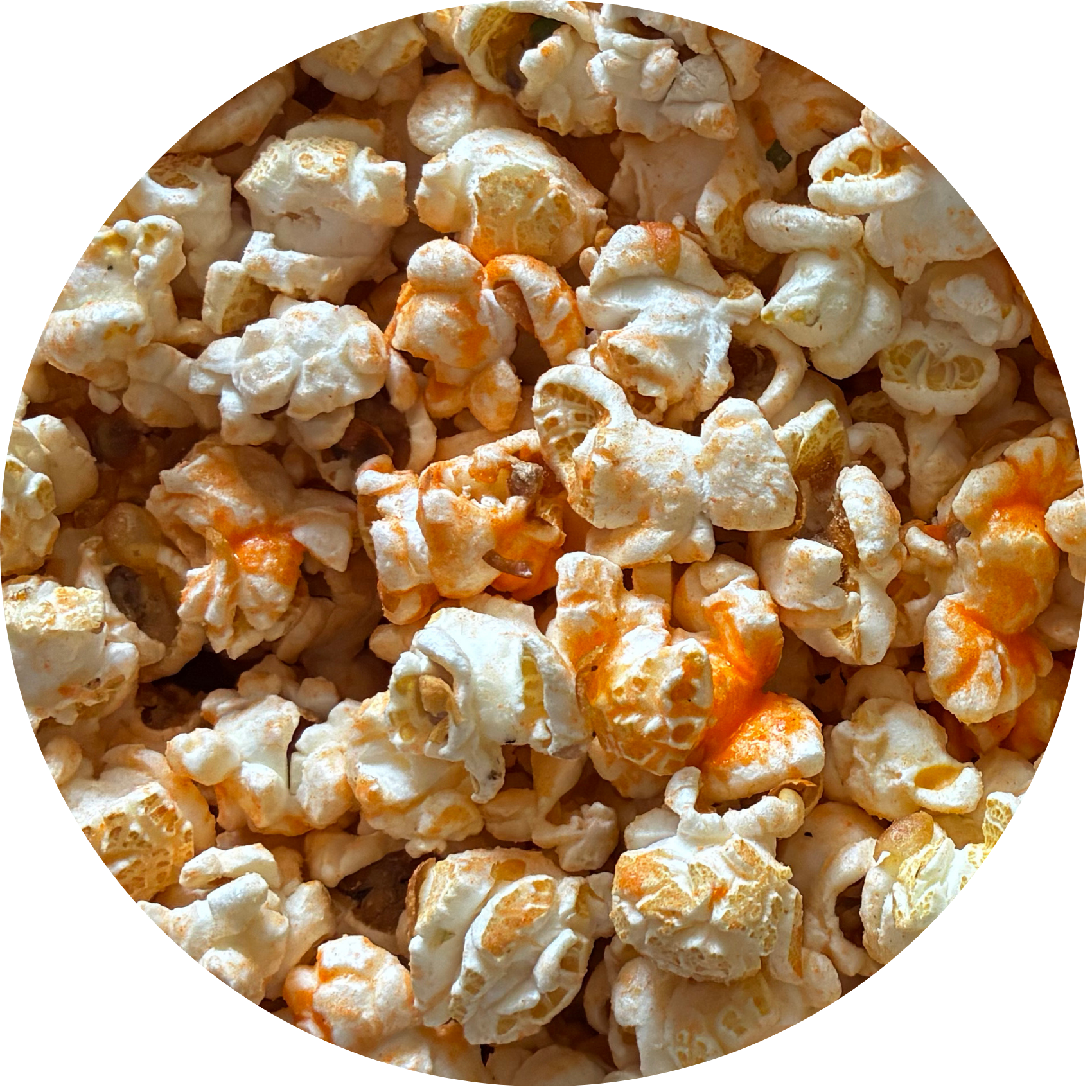 Sour Cream And Cheddar
