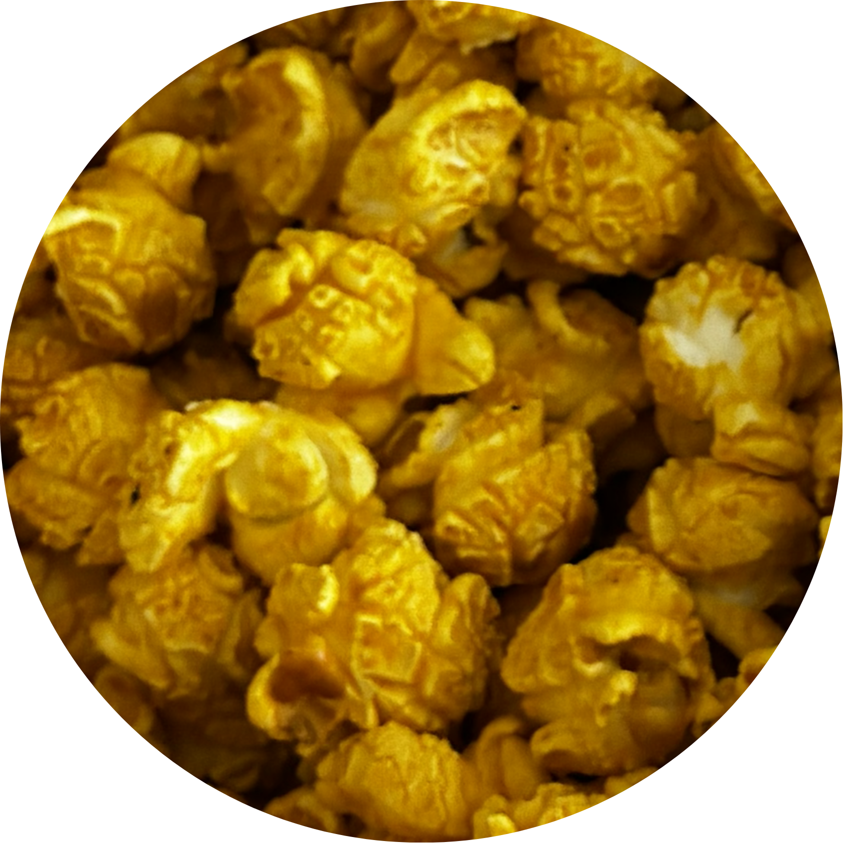 Jalapeno Cheddar