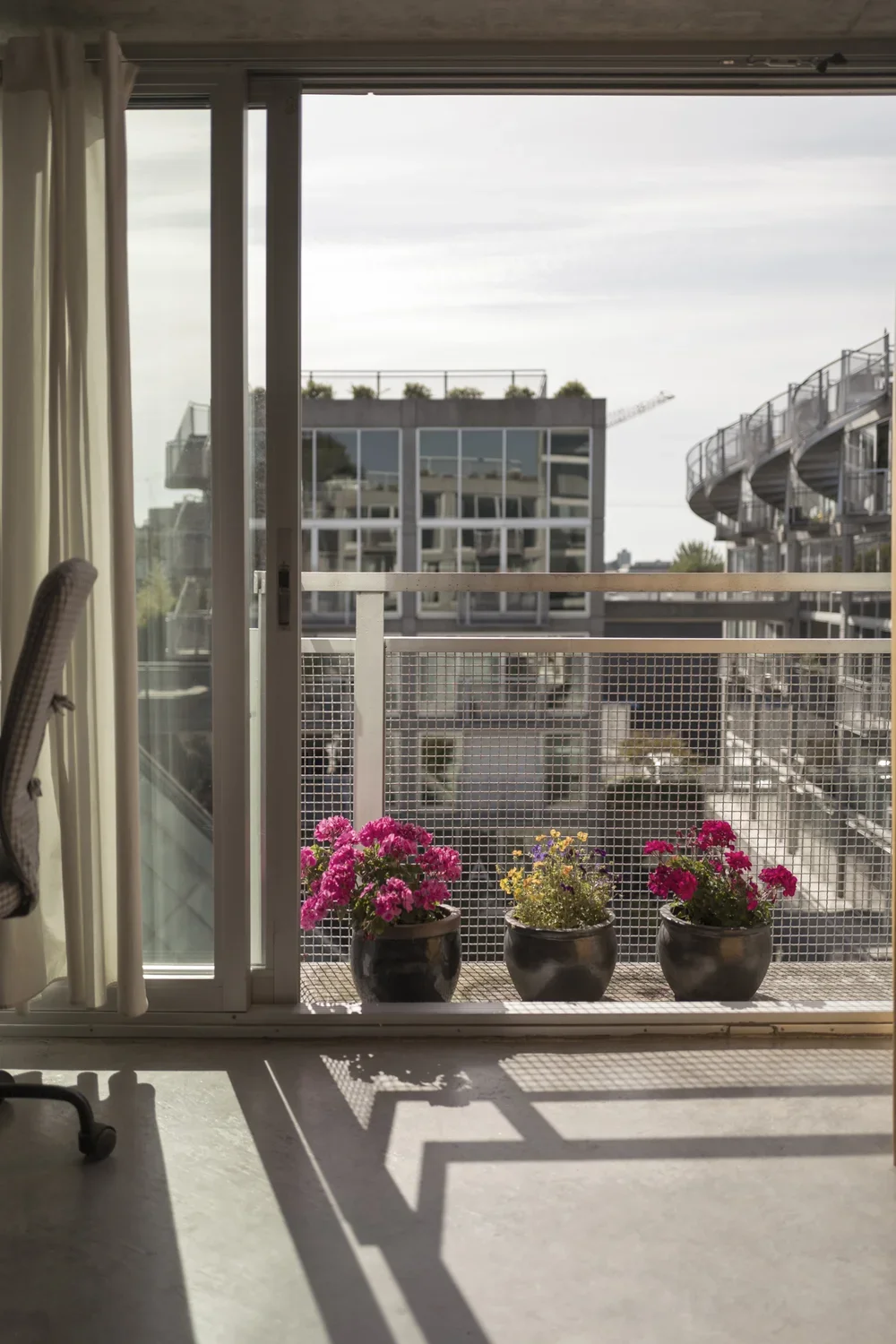 plants.jpg.webp