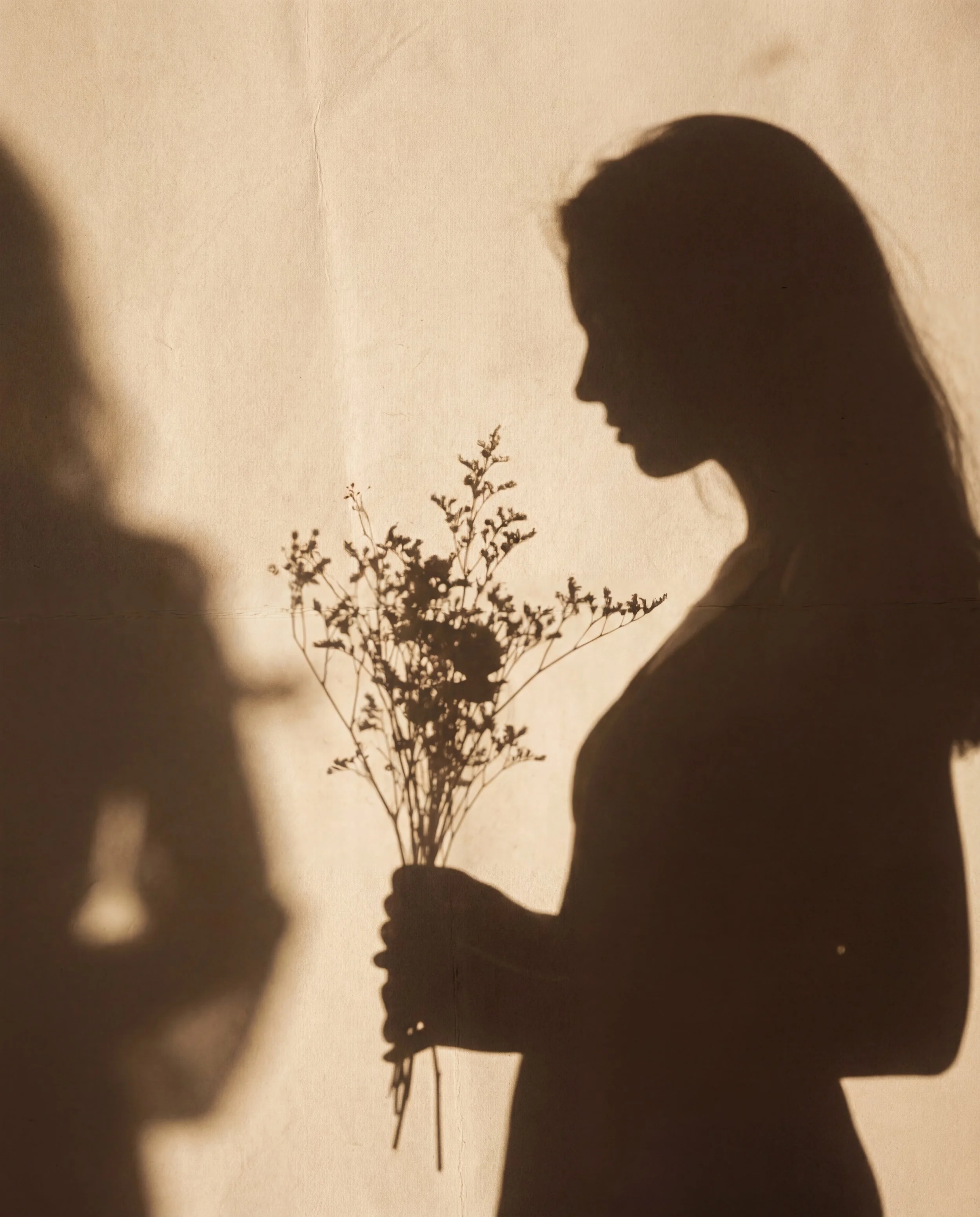 Shadow of a woman’s silhouette and a plant cast on a beige wall with sunlight.