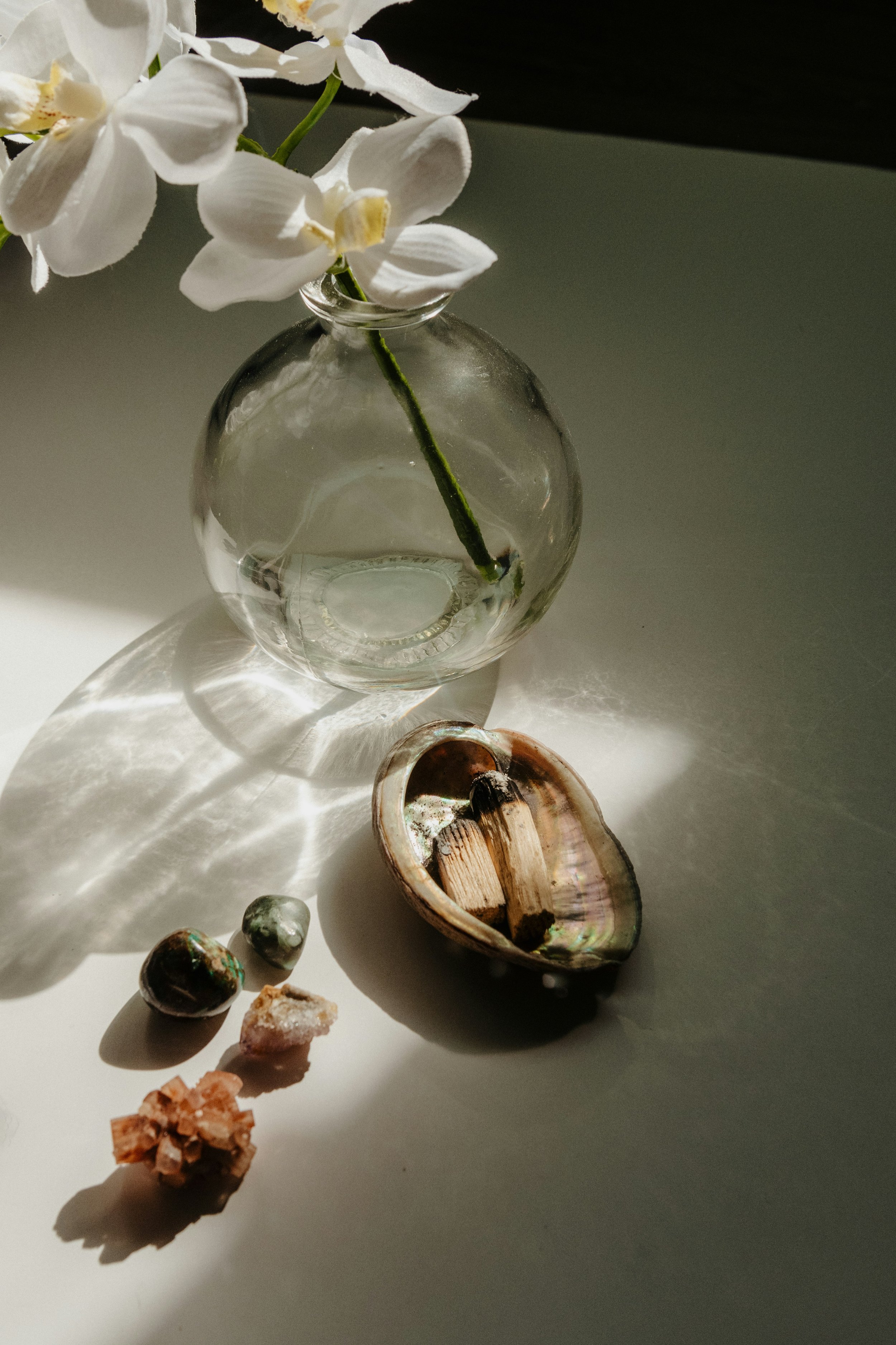 A small glass vase holding white flowers with yellow centers on a white surface with sunlight creating shadows. Around the vase are various rocks and shells, including a broken shell with iridescence inside.