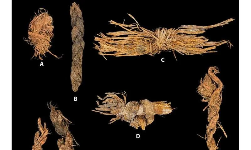 Large cordage and knotted bark from Cougar Mountain Cave