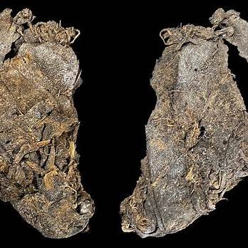 Oldest Sewn Hide in the World from Cougar Mountain Cave.