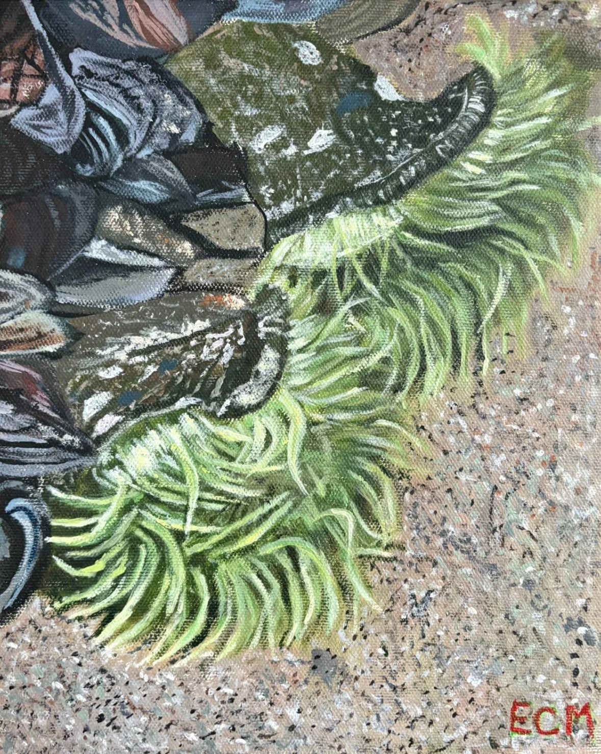 Tide Pooling