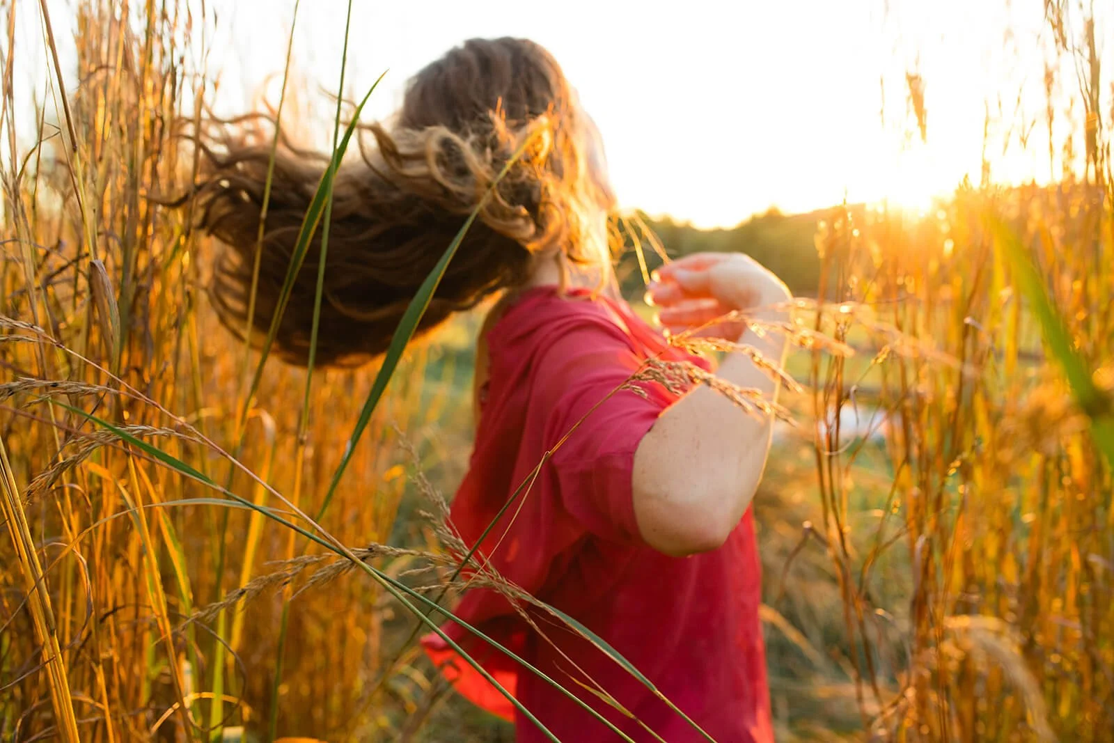 A person with curly hair, wearing a red shirt, running through a field of tall, golden grass during sunset, with their face turned away from the camera.