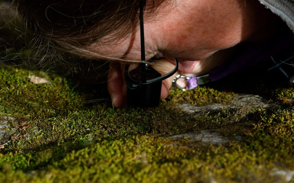 Lorie Hetrick-Volenberg begins the process of determining the species of moss by looking through a hand lens to find identifying characteristics at Graham Cave State Park on Friday, March 14, in Montgomery County, Mo. “People will just see the green 
