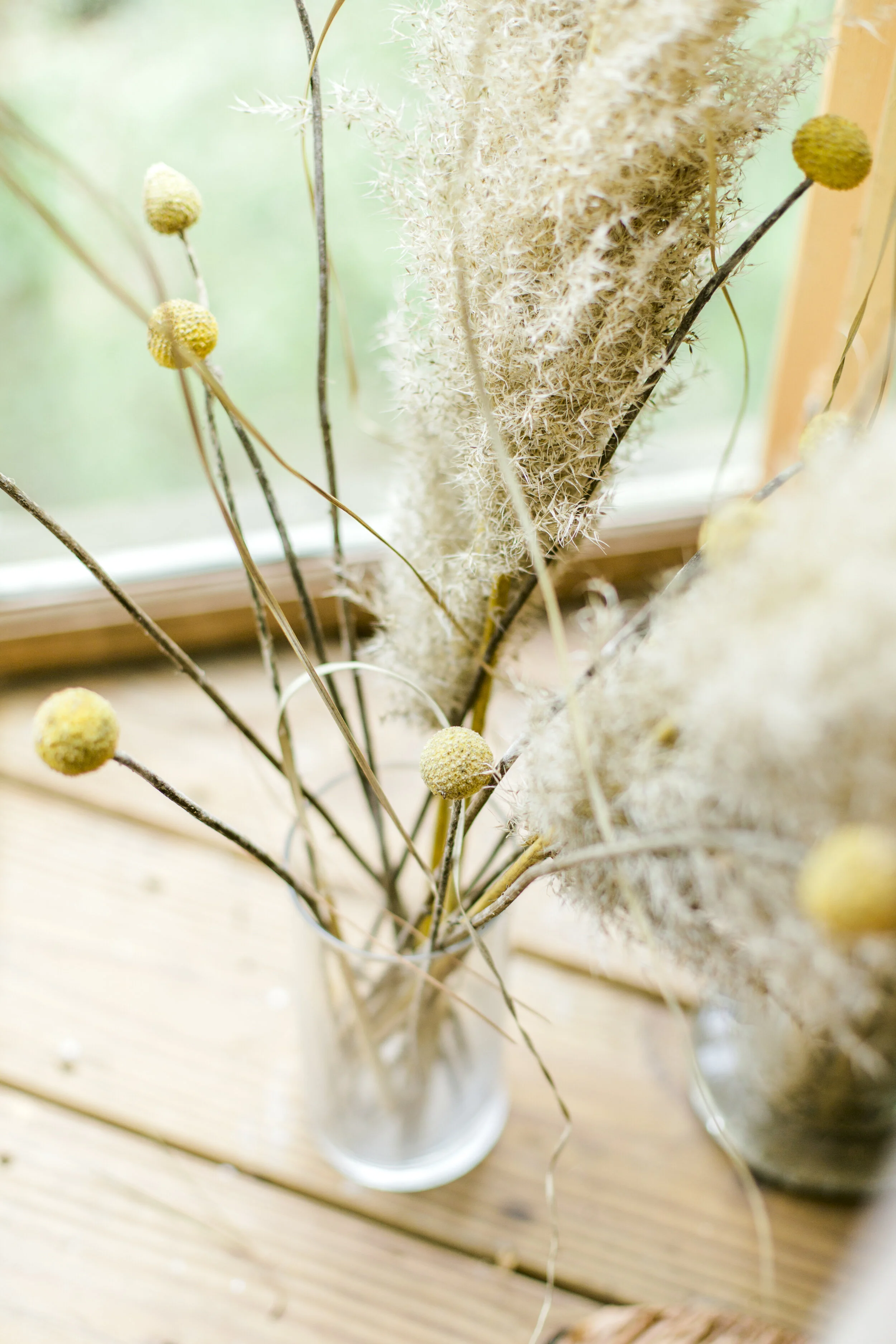 Jessica Sgubin Photography-1-5.jpg